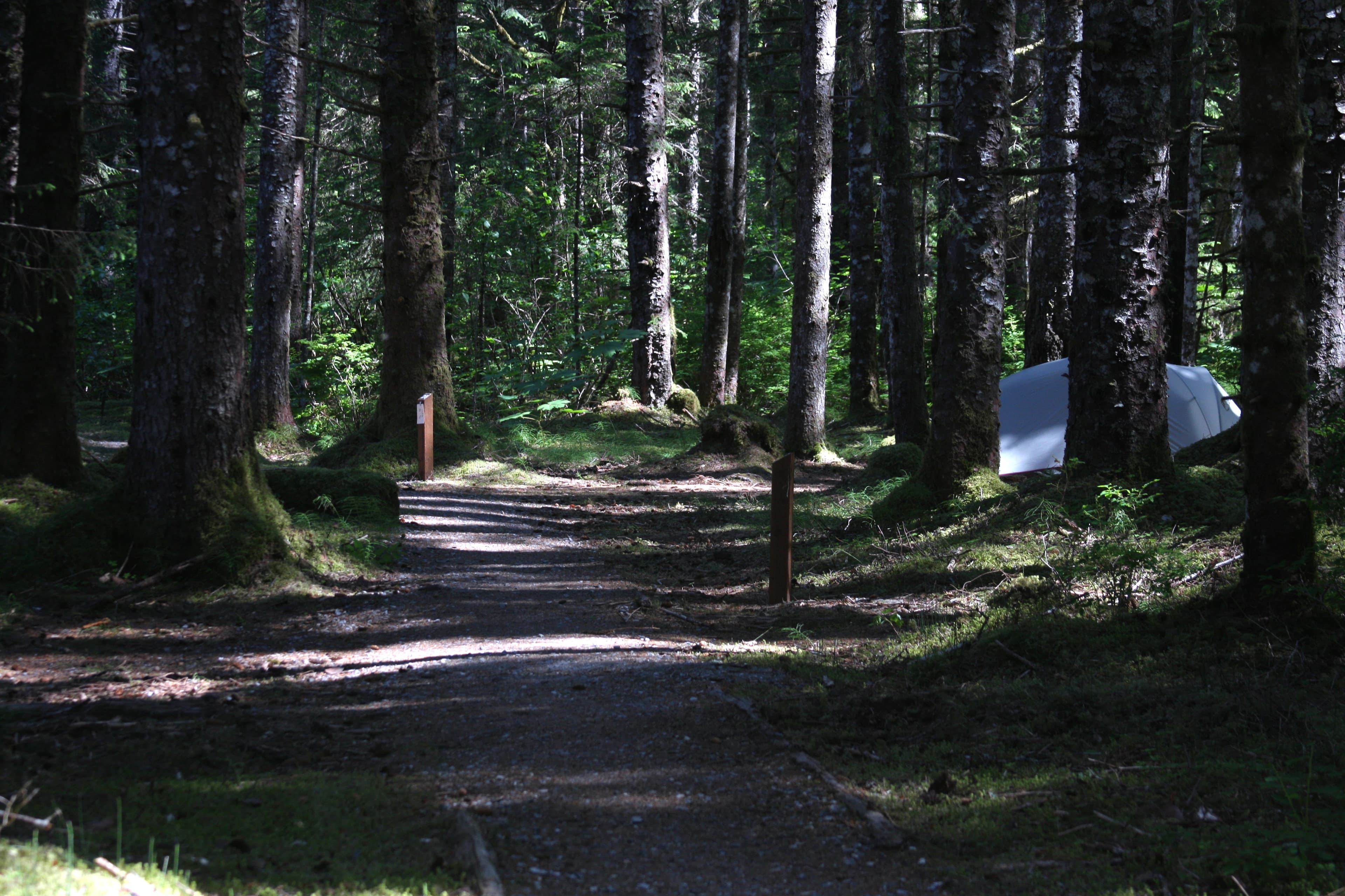 The Bartlett Cove Campground is a serene spot. Where else in the world can you camp in the woods and hear the breathing of whales?