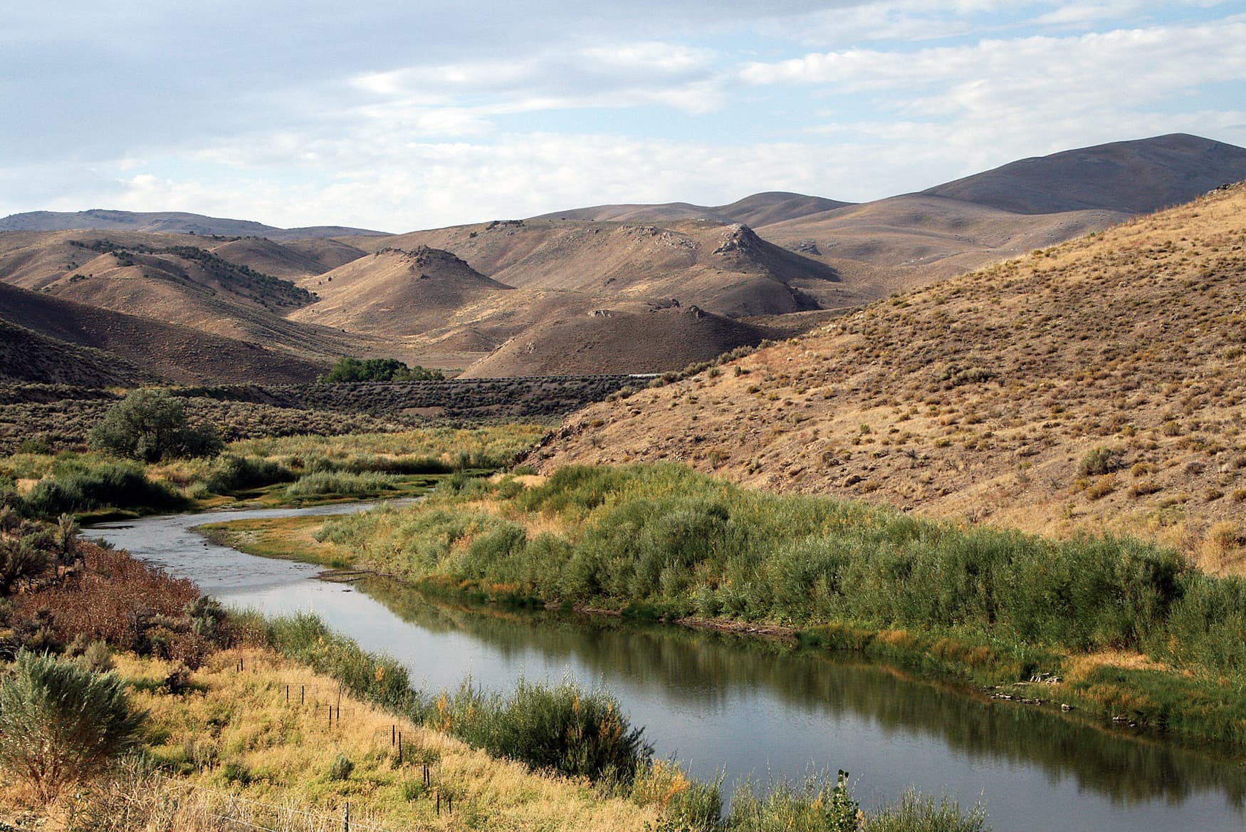A creek in Carlin Canyon, Nevada on the California Trail