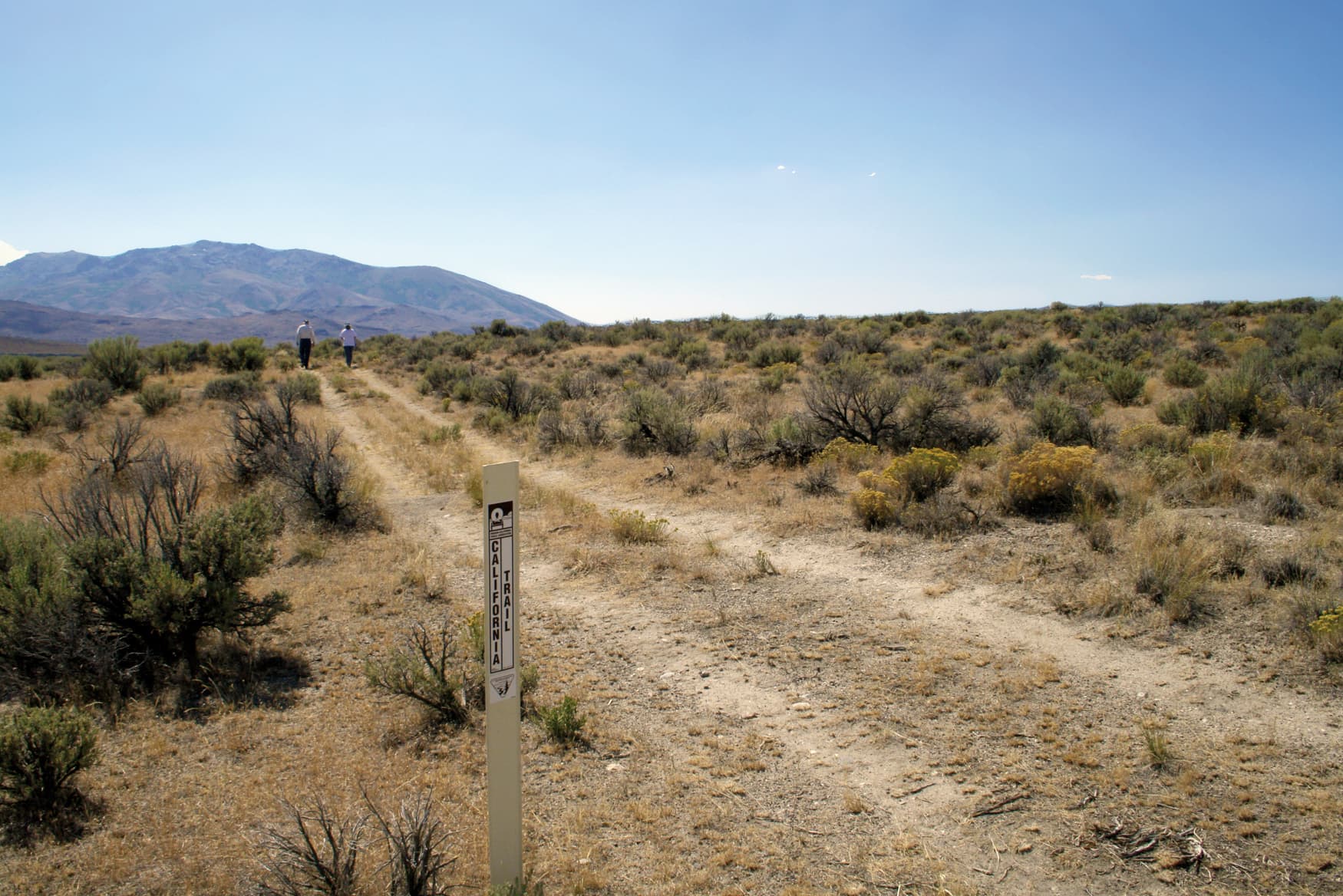 Trail ruts on through Humboldt Wells in Nevada