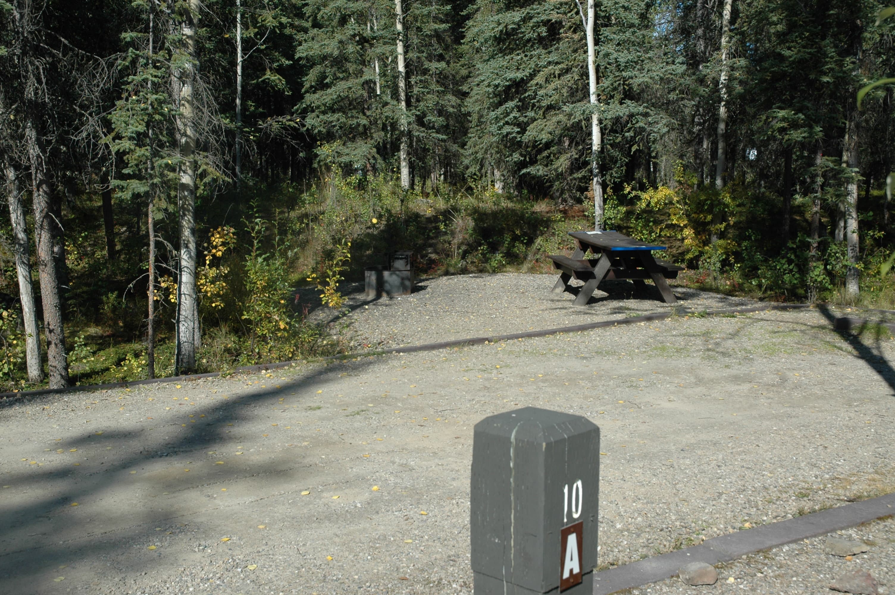 A typical site in Riley Creek Campground.