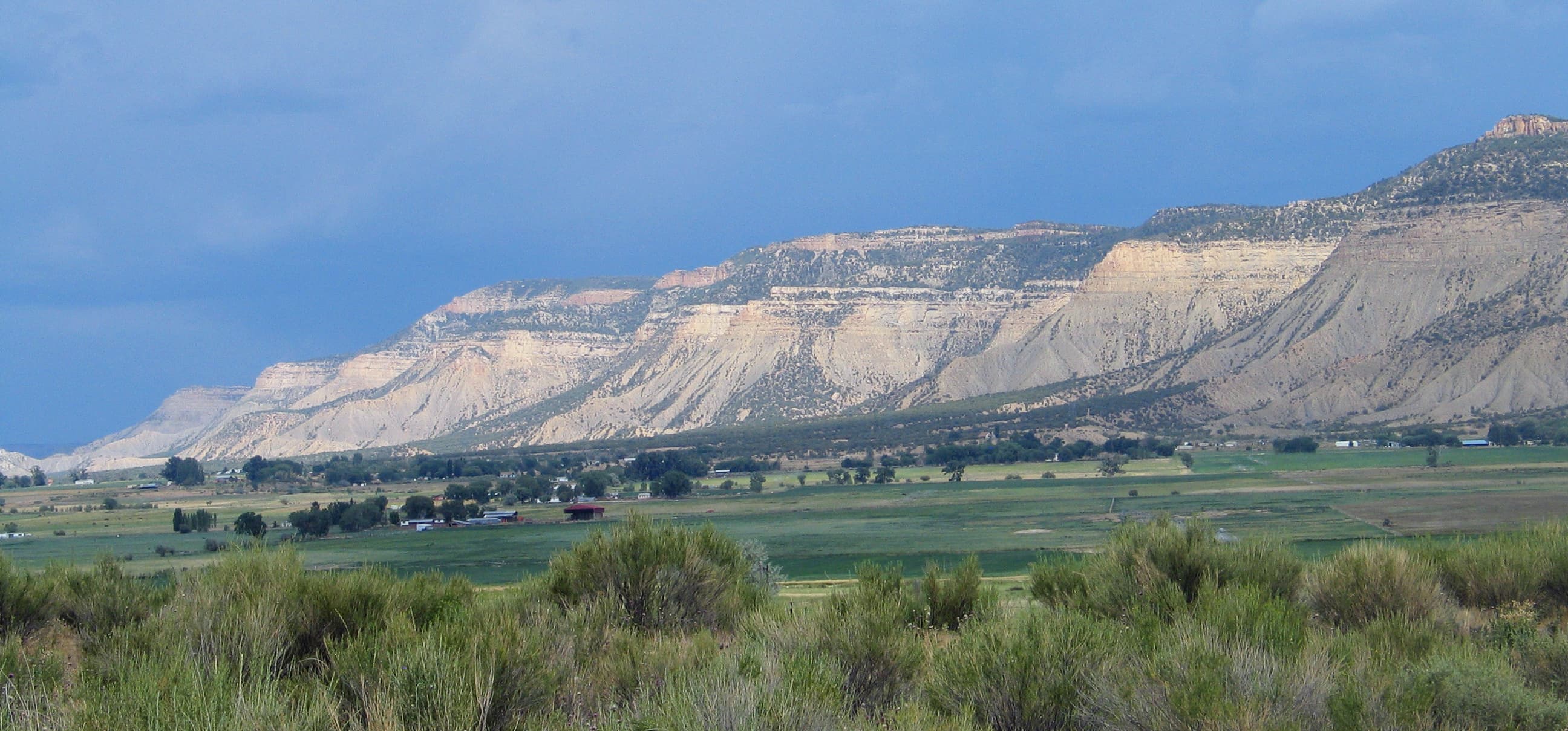 View of Mesa Verde above from Yucca House in the valley below.