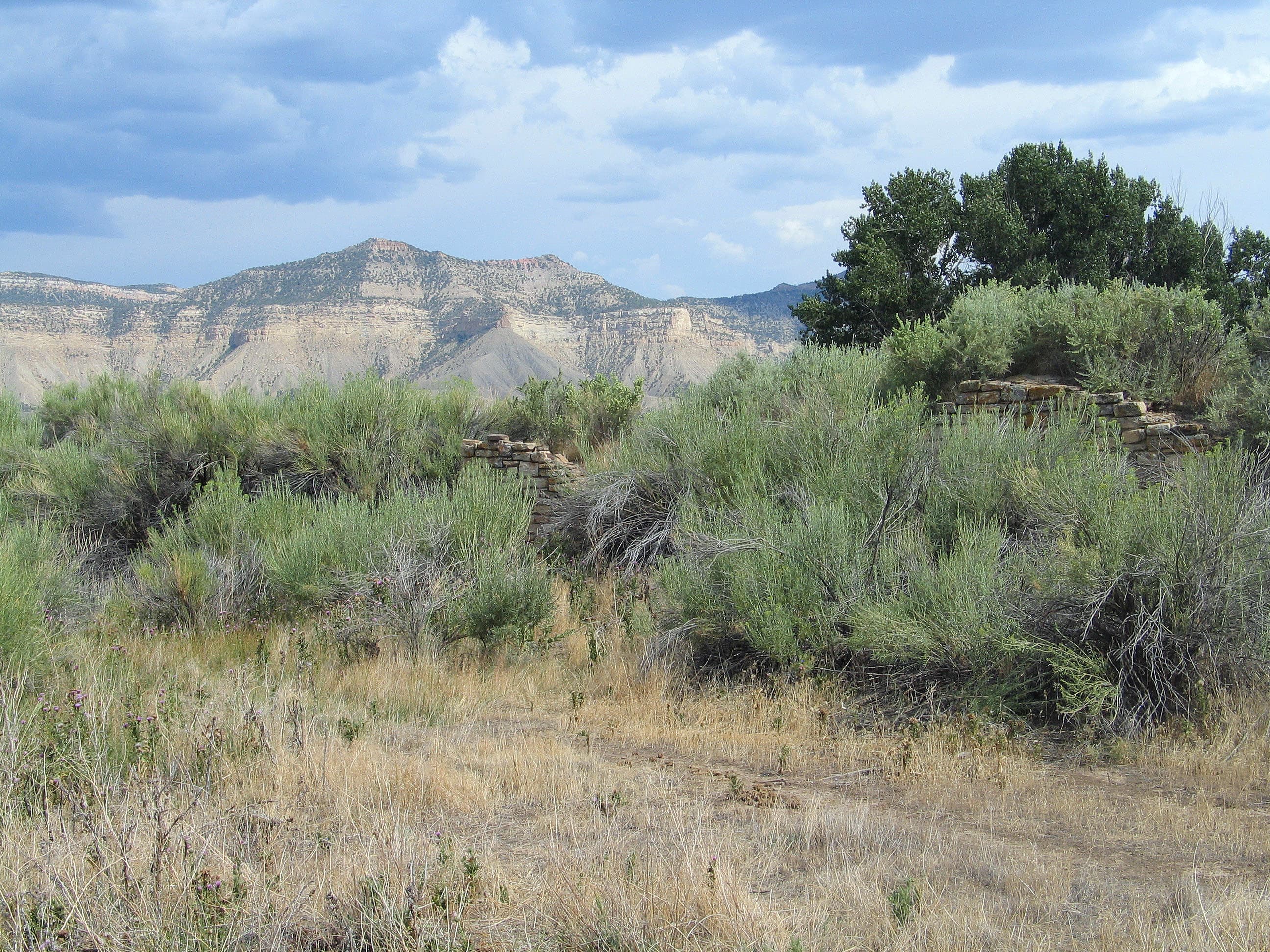 Ancient walls of Yucca House still standing today.