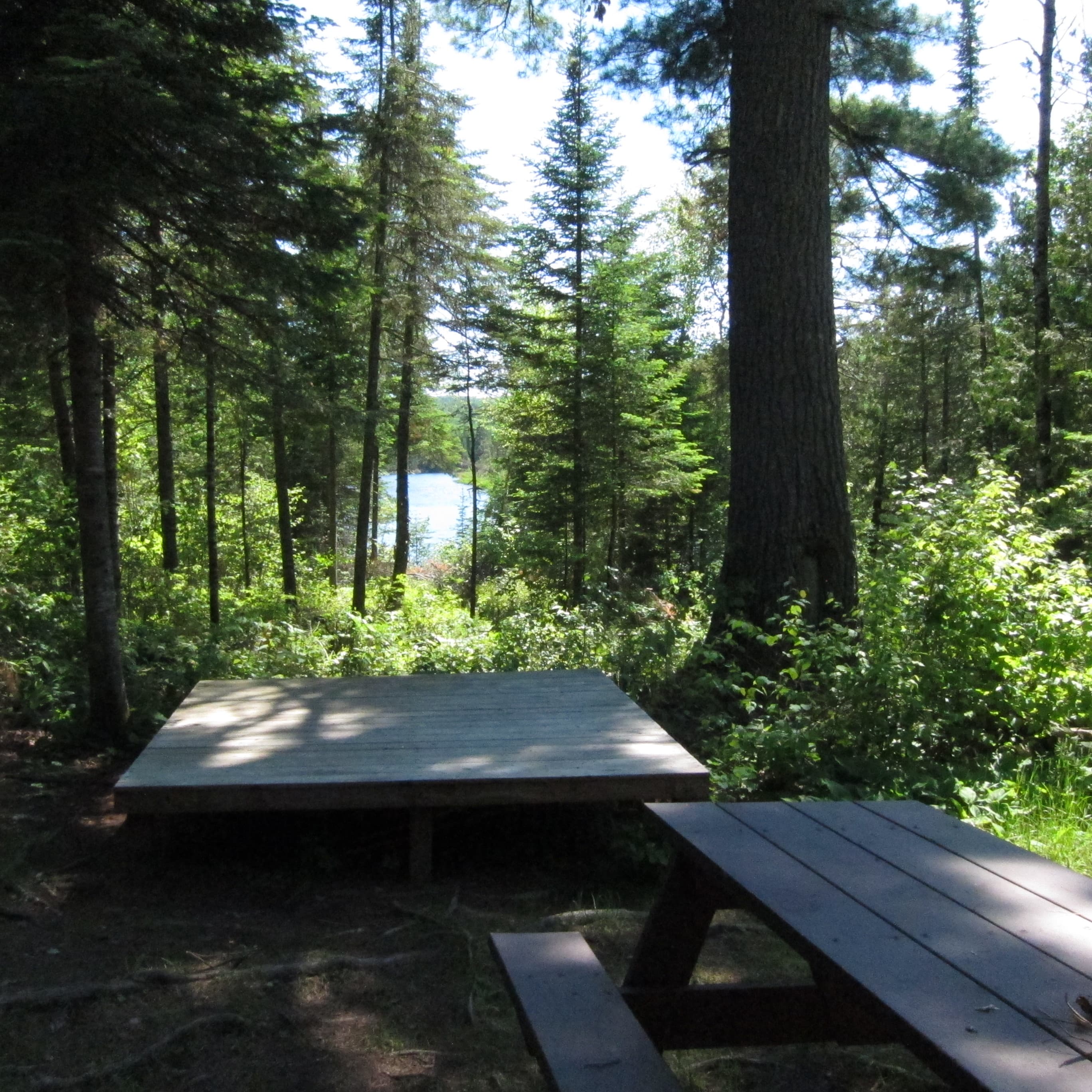 Campsites have tent platforms, tables and shade trees.