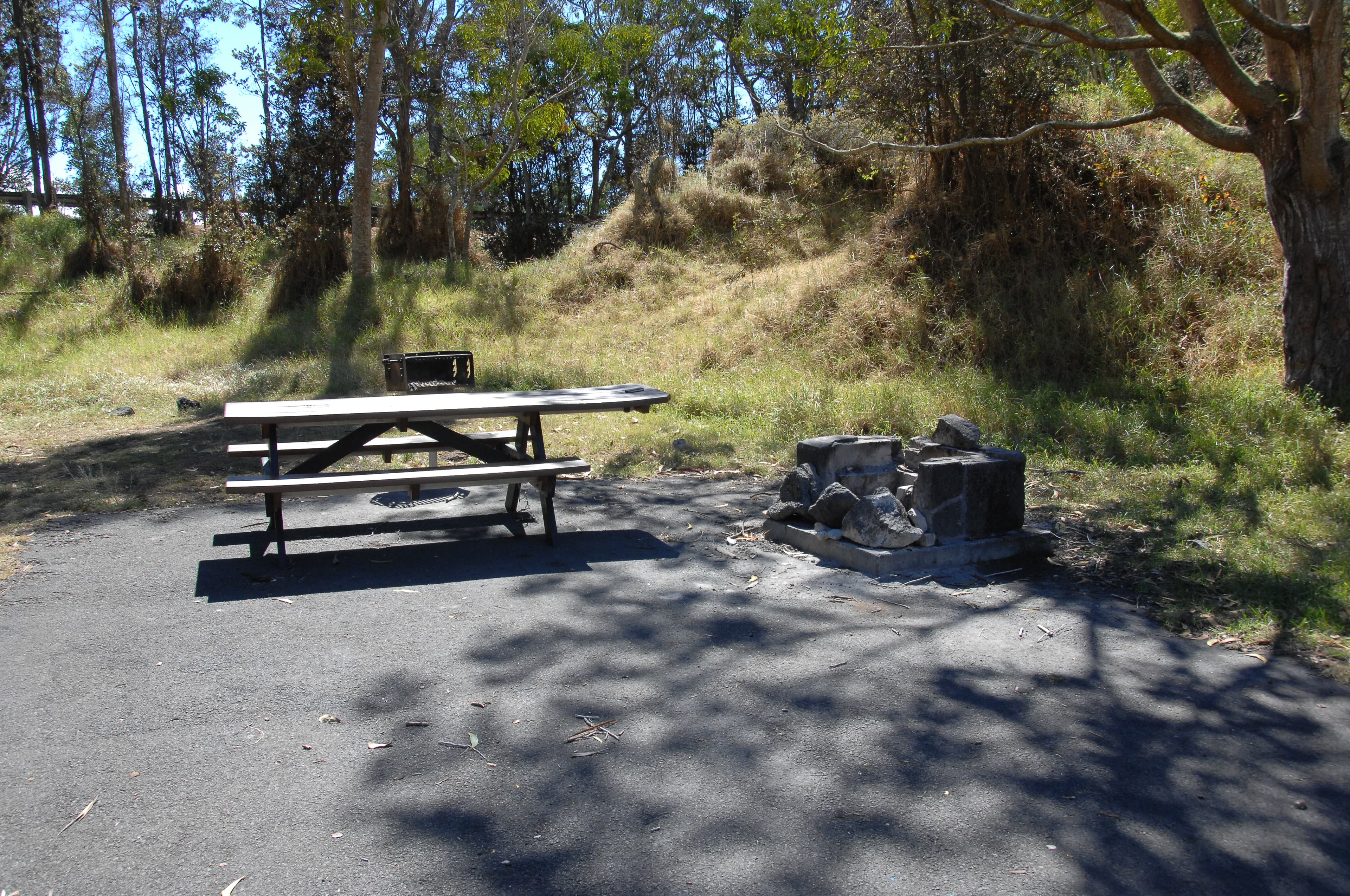 Campsite with picnic table and firepit