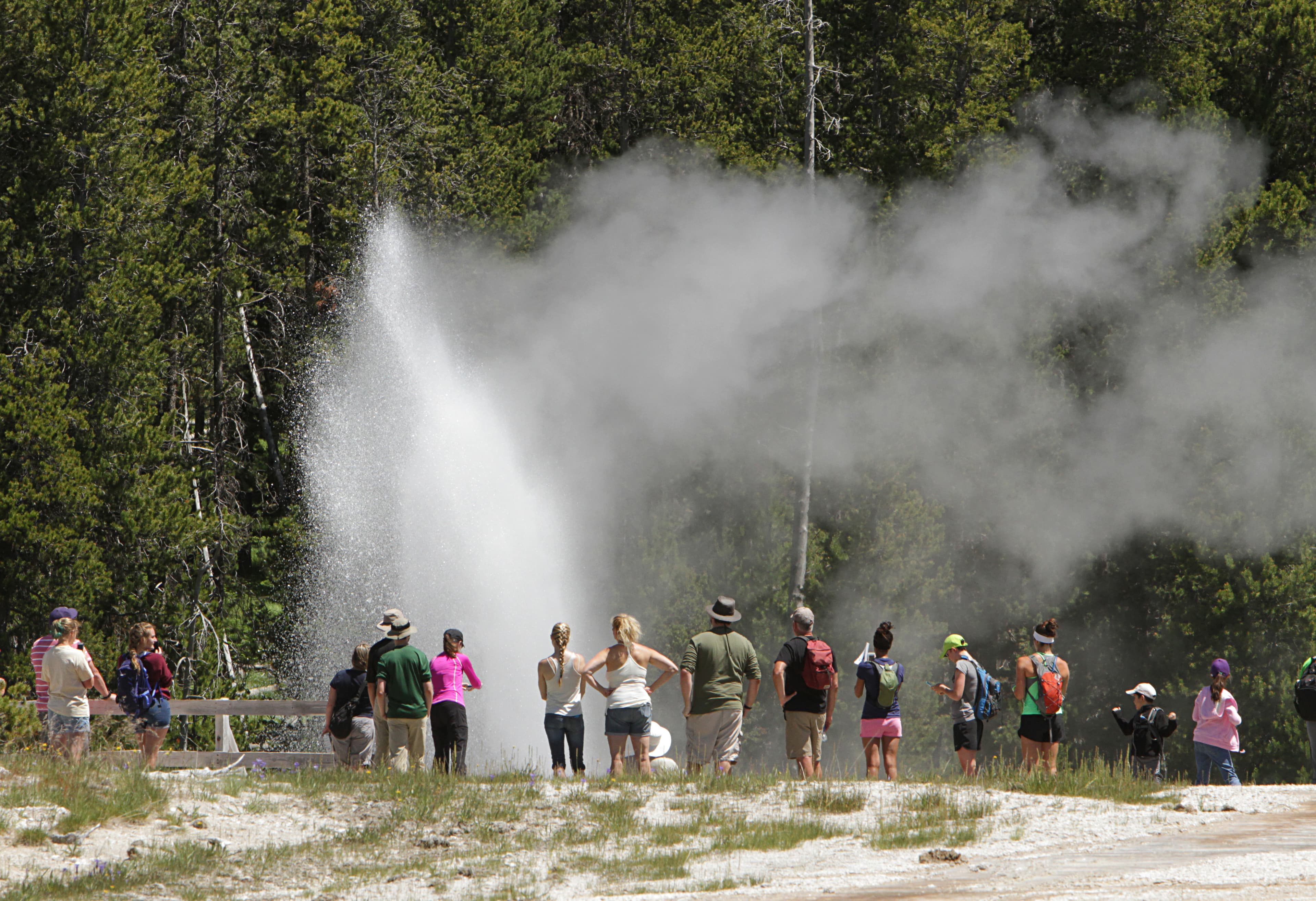 Aurum Geyser erupting