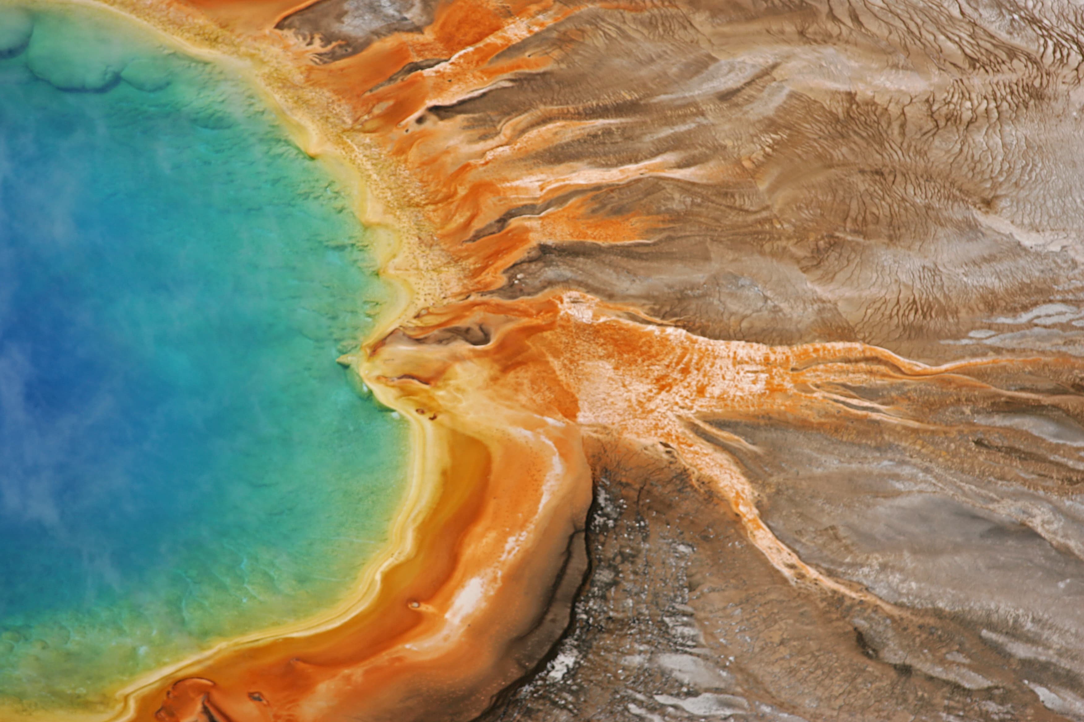 The bright colors found in Grand Prismatic Spring come from thermophiles—microorganisms that thrive in hot temperatures