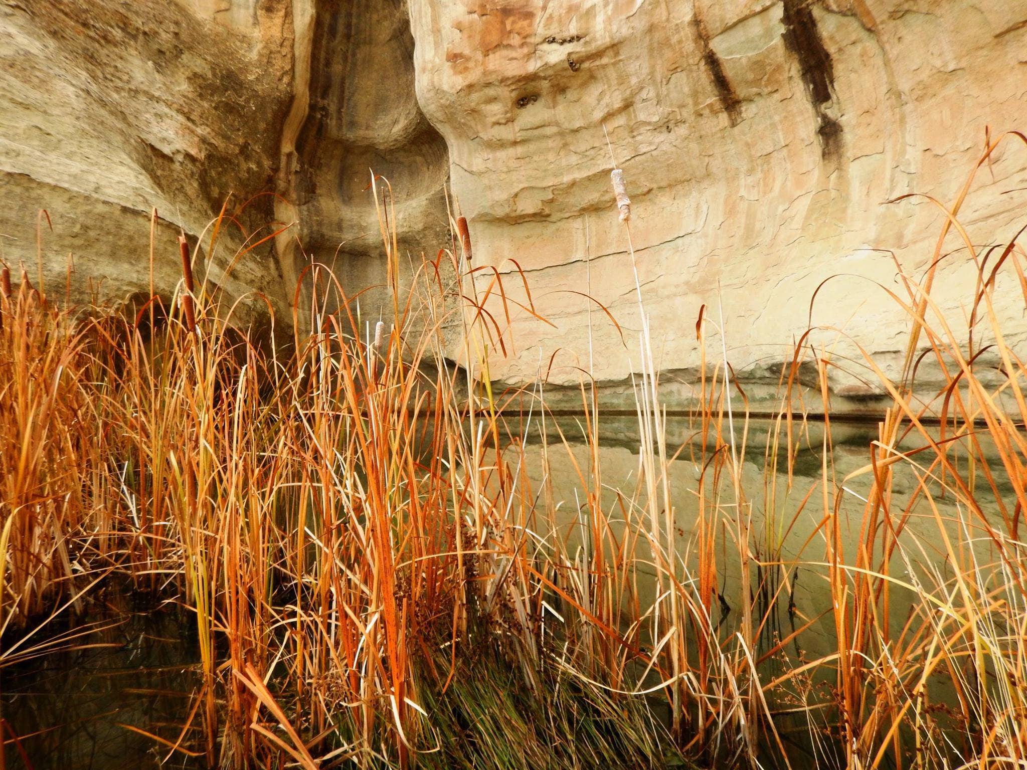 A drinking hole for visitors for hundreds of years, the pool at El Morro has significant cultural and historical value.