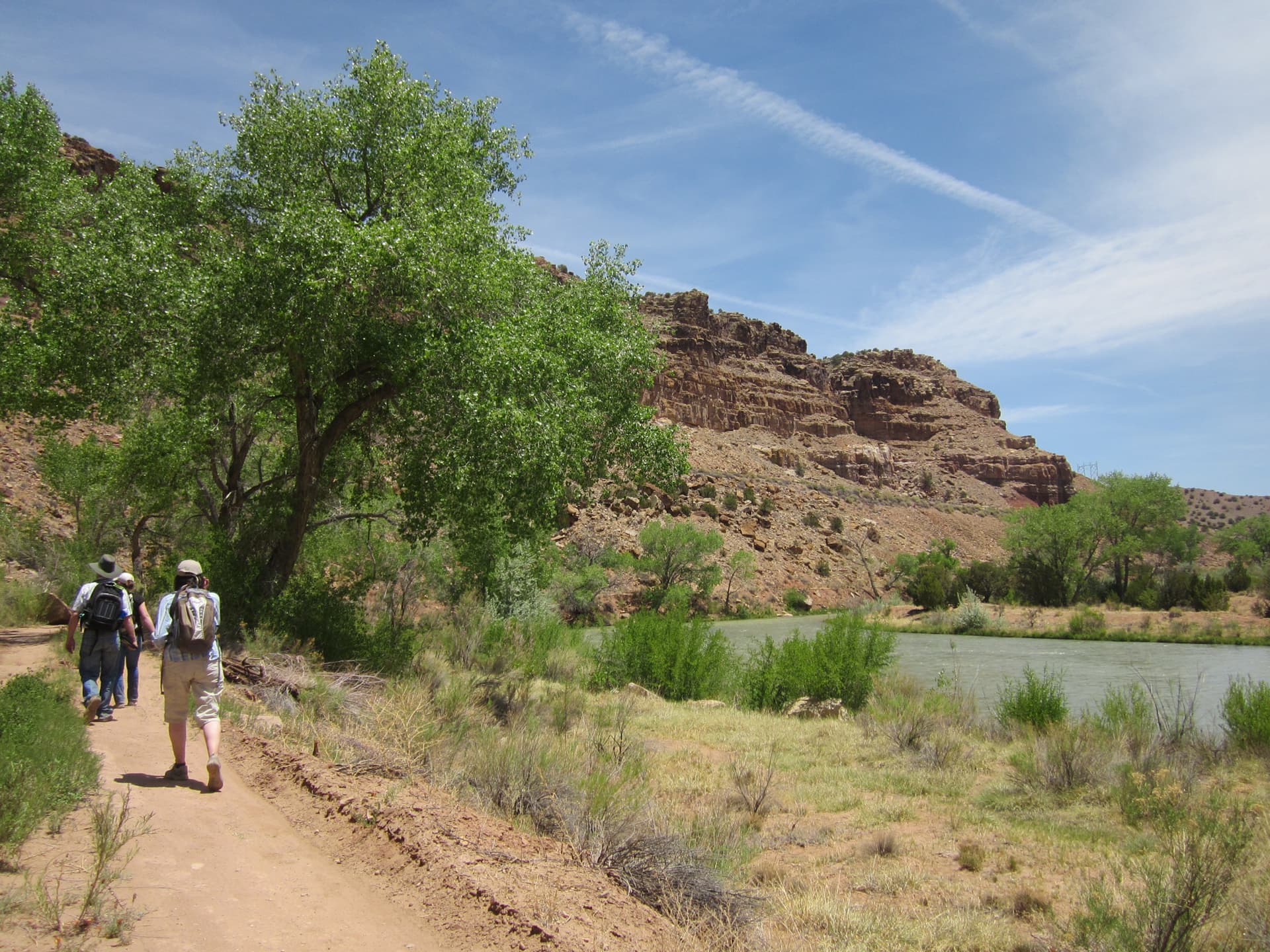 This section of the Rio Chama River, tributary of the Rio Grande, is located about six miles north of Abiquiú, New Mexico and flows through the Carson National Forest.
