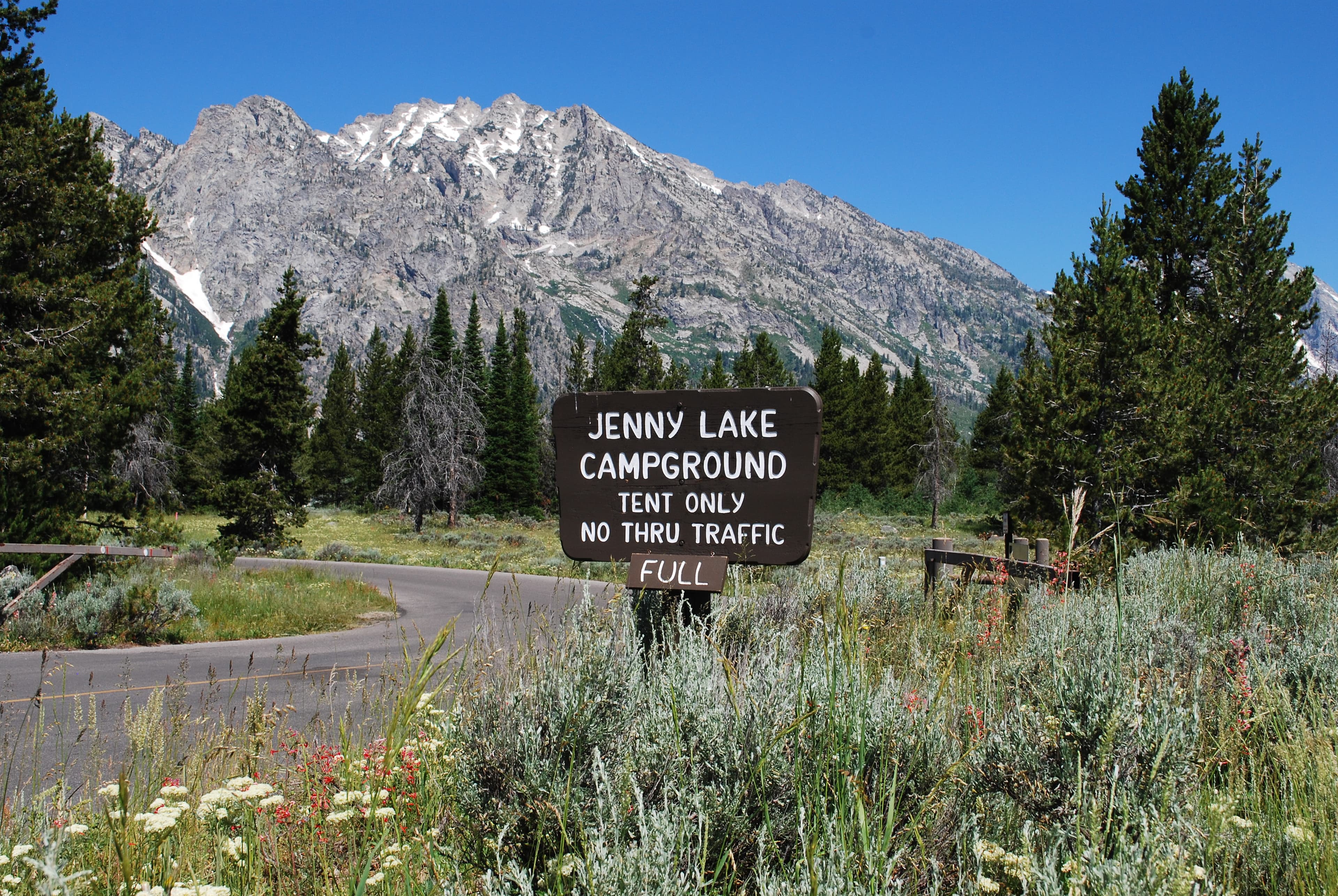 Jenny Lake Campground fills early, and only allows tent camping!