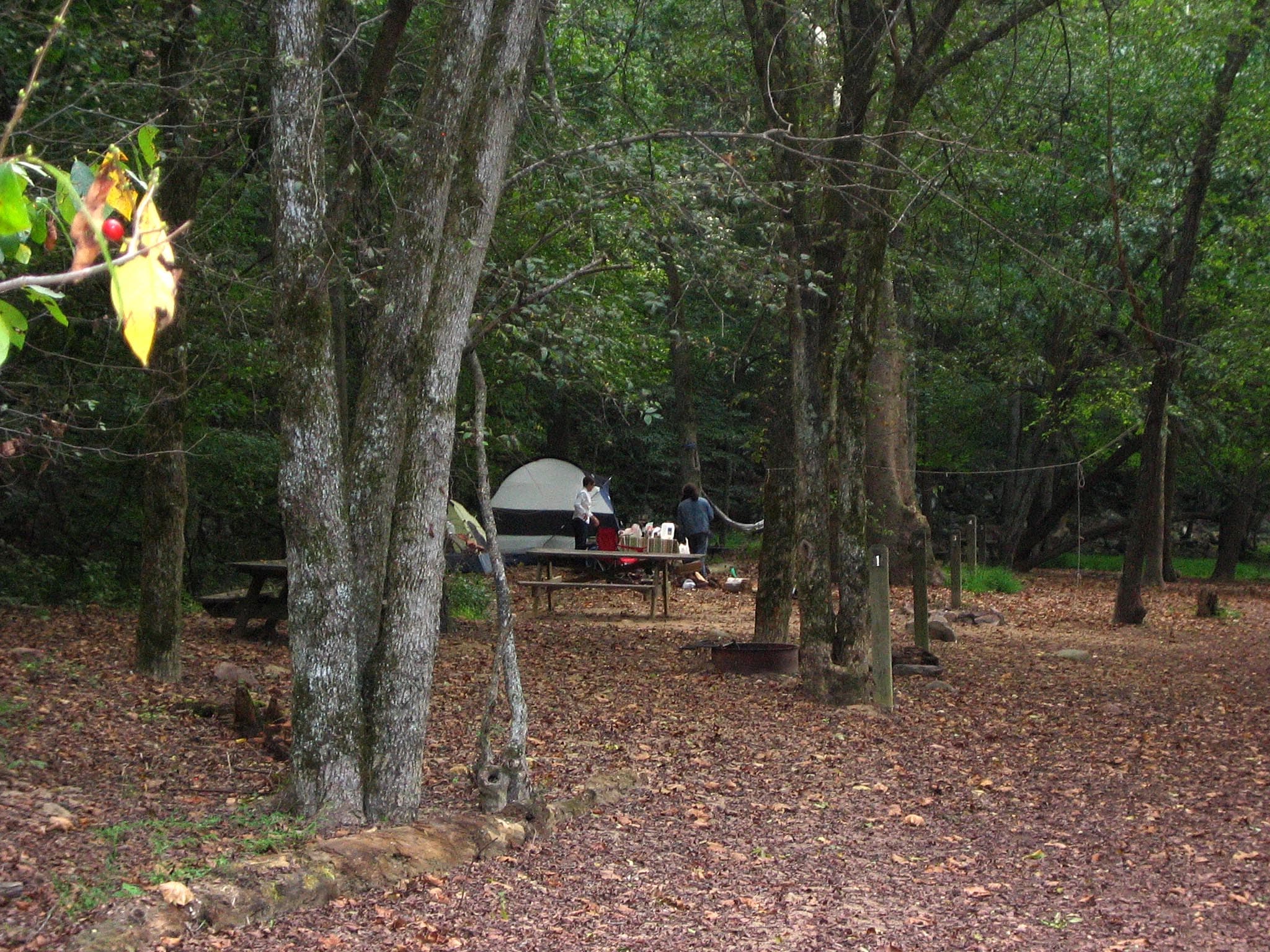 Campsite at Glade Creek Campground