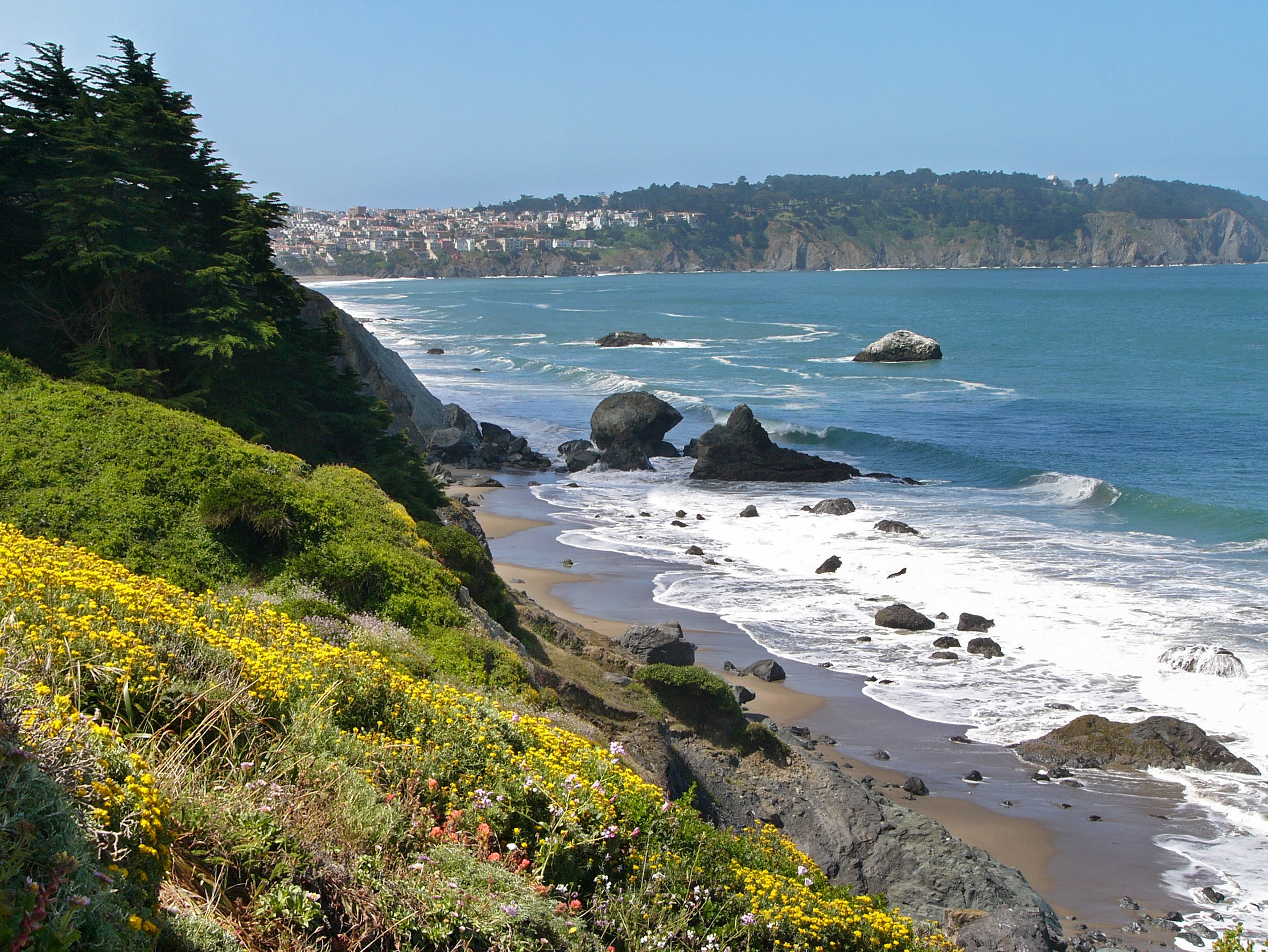 The coastal bluffs of the Presidio still retain a wild feeling within the city.
