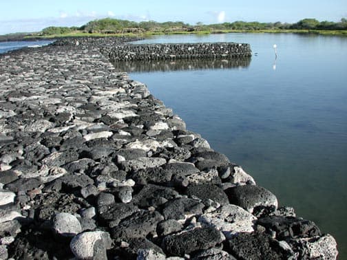 Kaloko Fishpond is the largest walled fishpond in the state (800 ft. long)