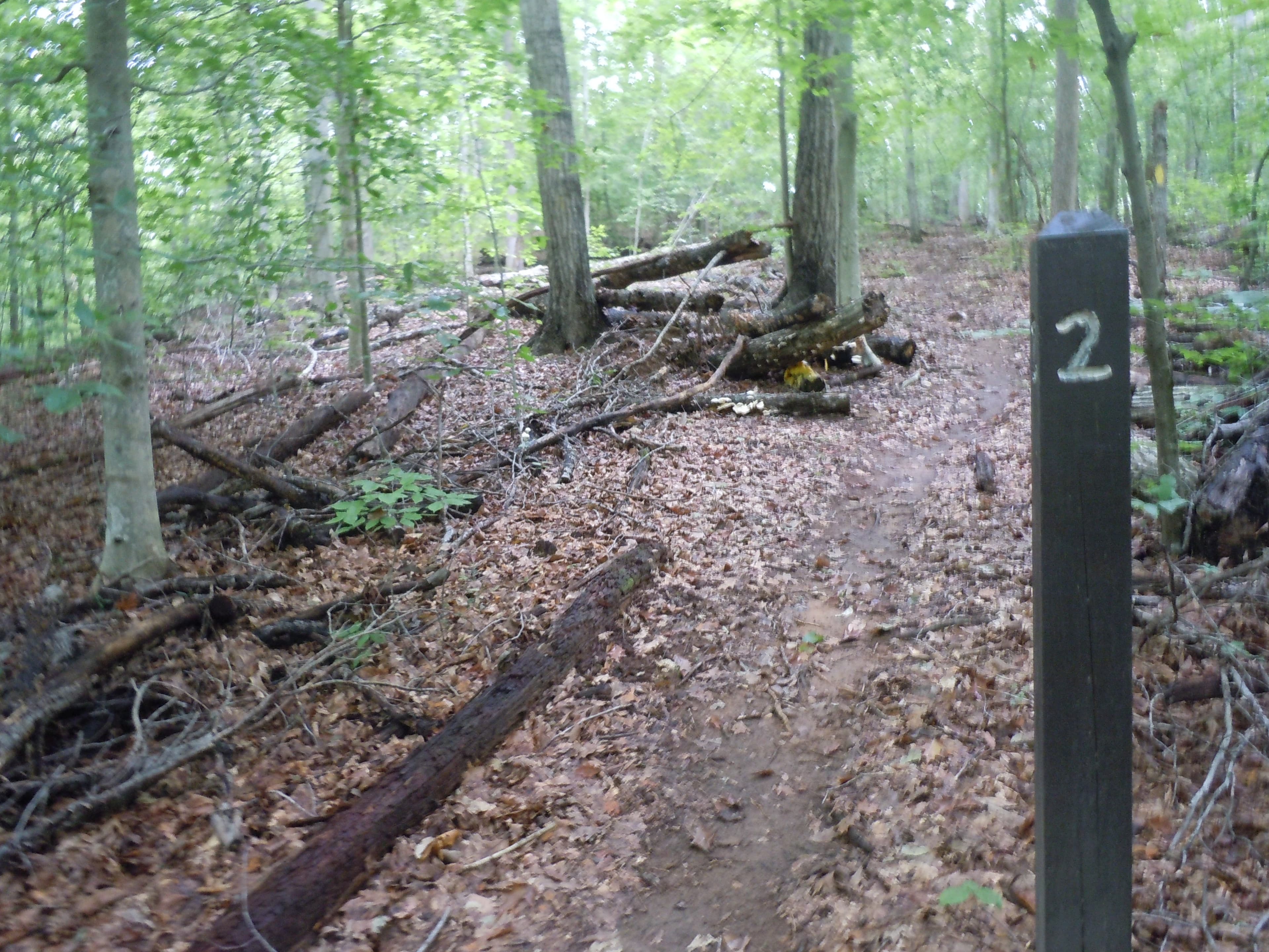 A trailside marker notes the entrance to campsite #2