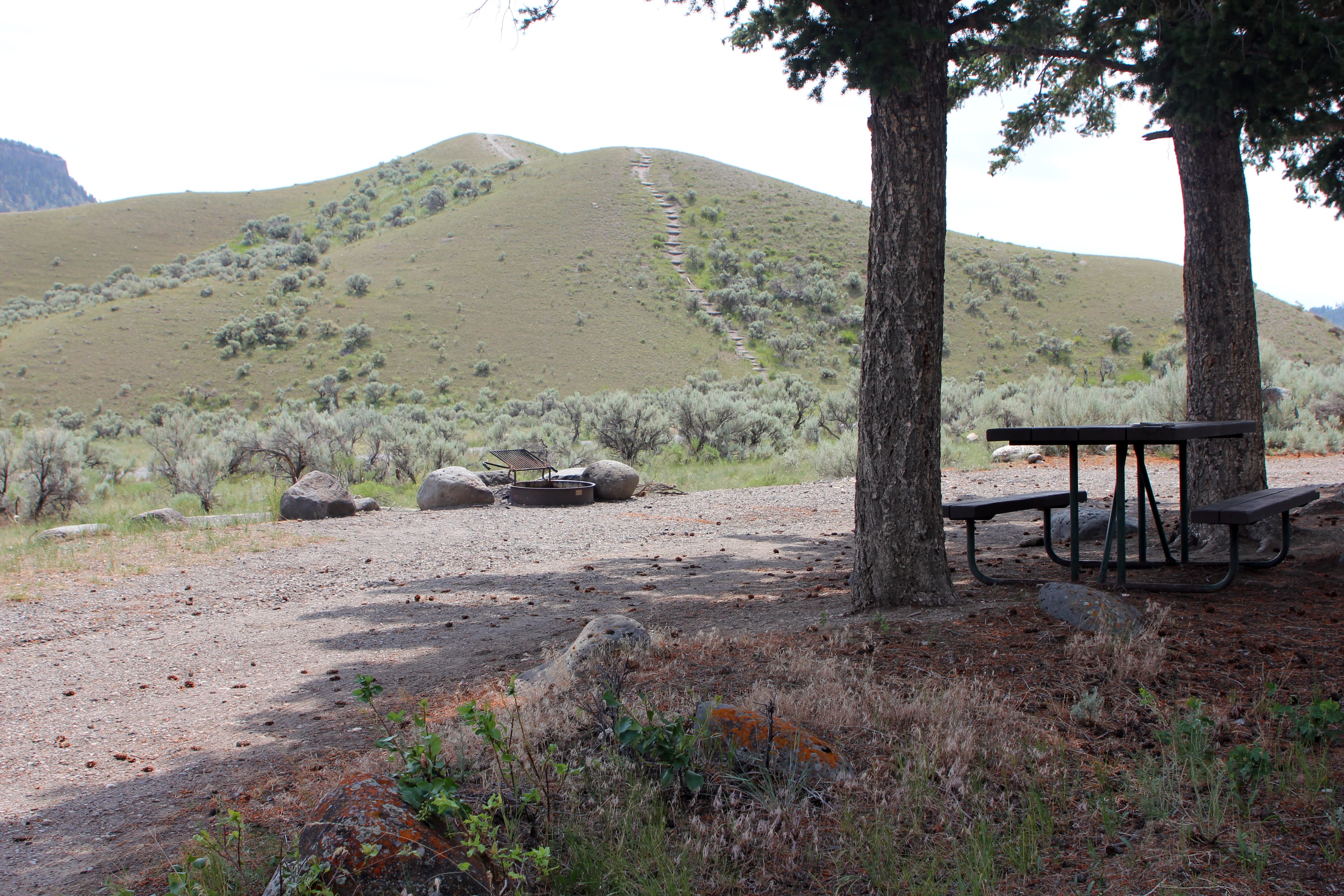 Camping sites at Mammoth Hot Springs Campground