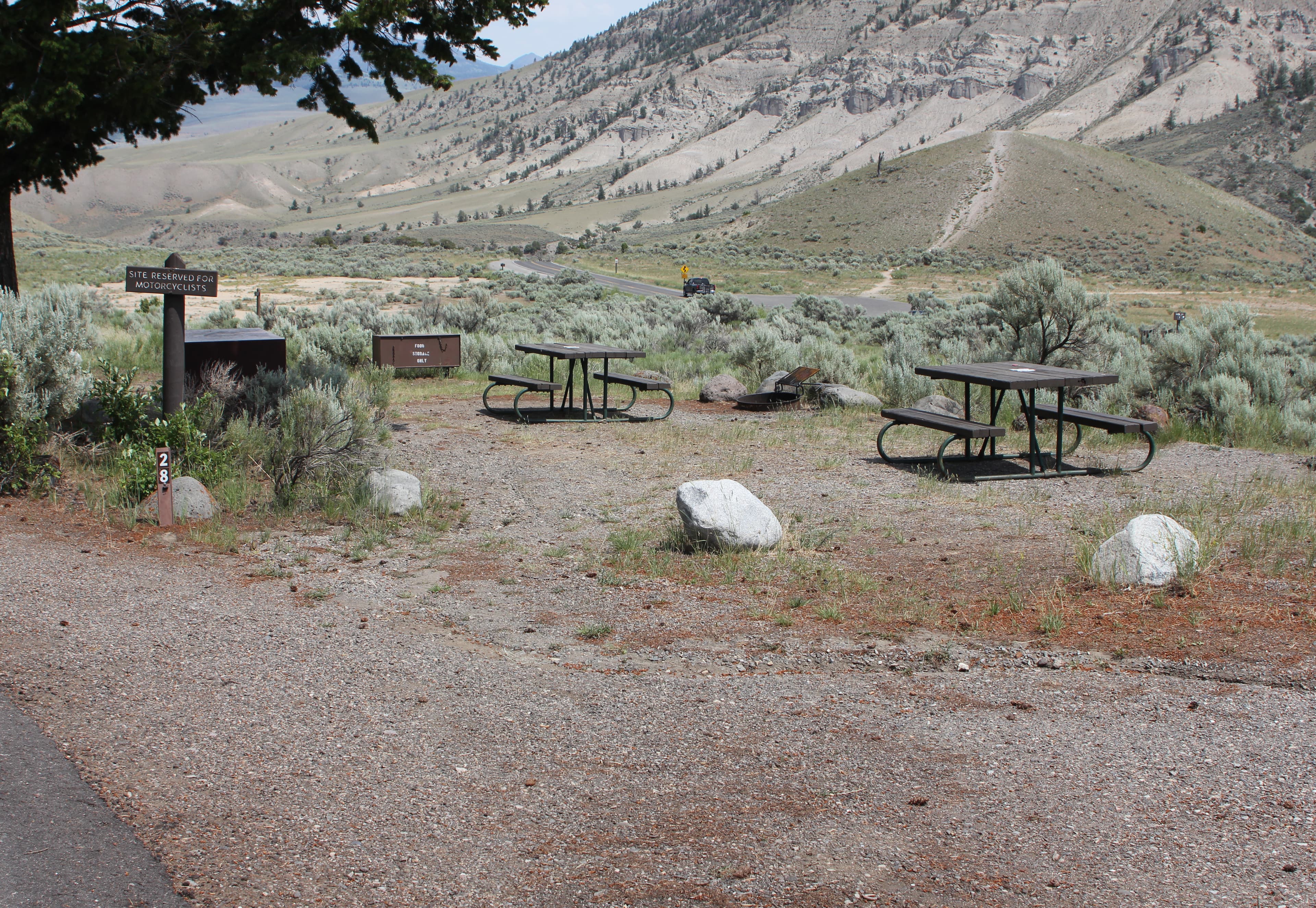 Mammoth Hot Springs Campground view of sites looking north