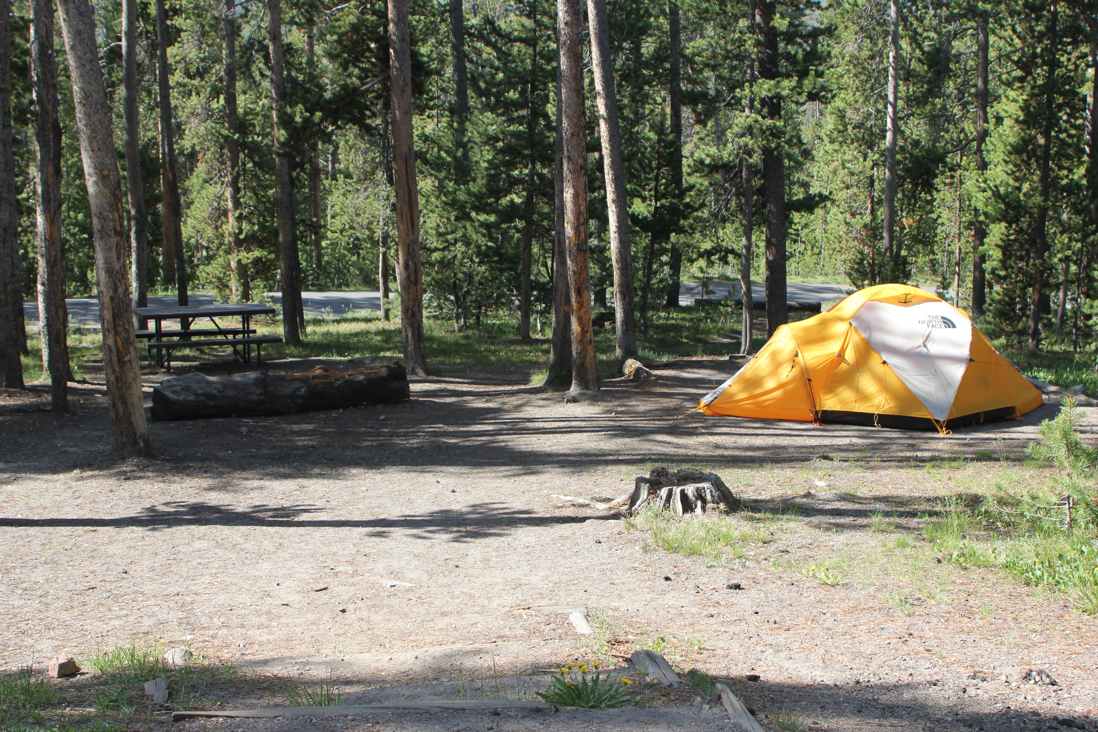 Norris Campground campsite