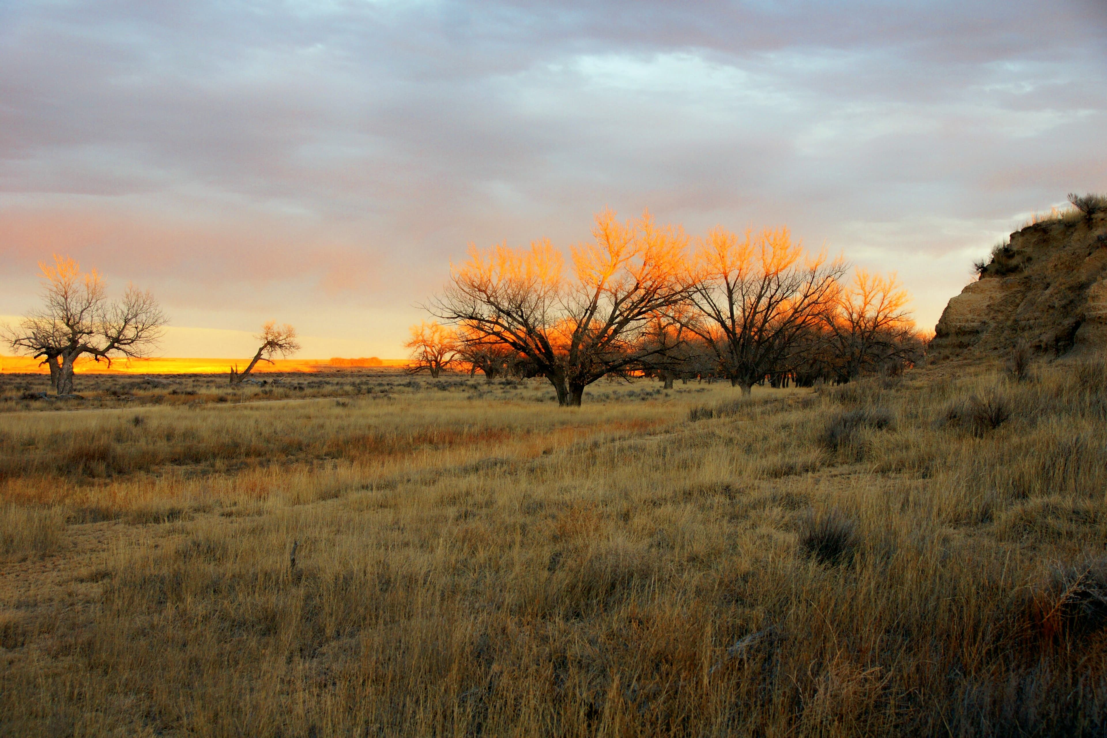 The setting sun highlights trees along Sand Creek, forming a hauntingly beautiful landscape