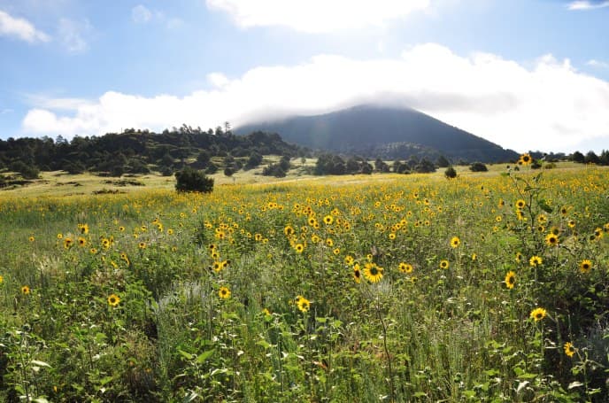 Capulin Volcano National Monument
