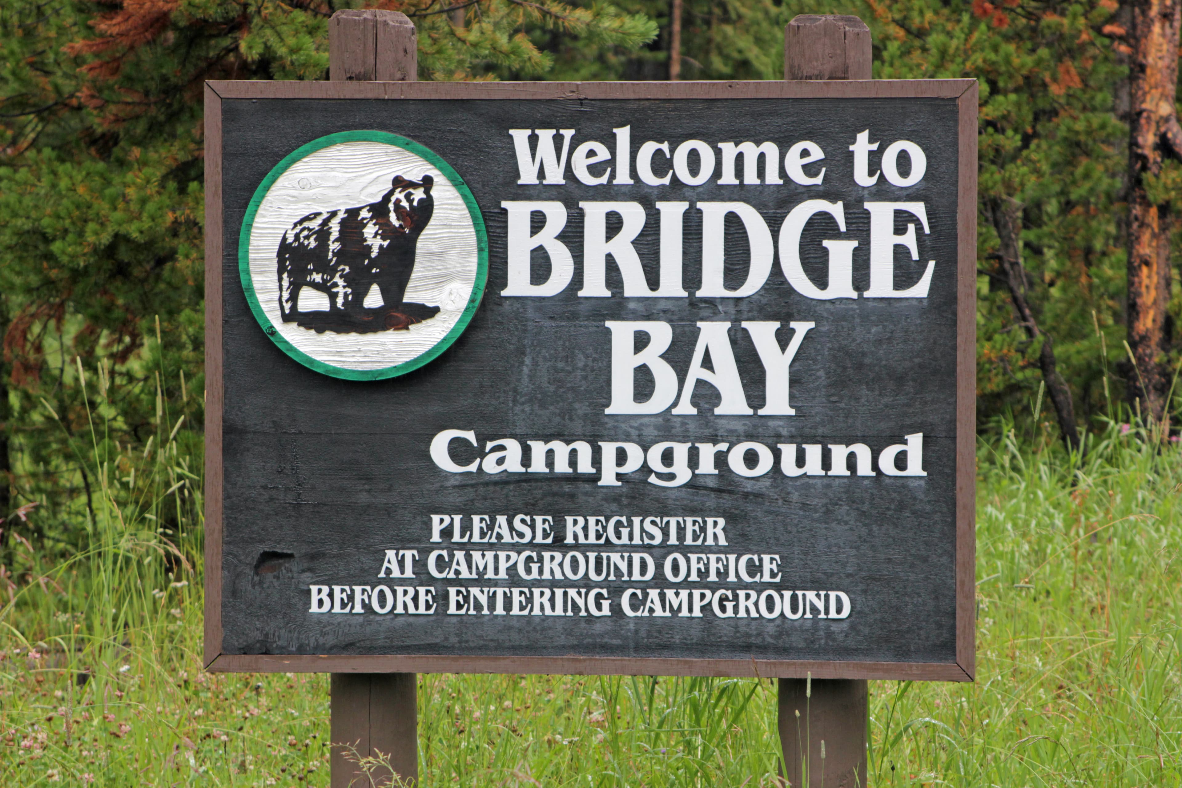 Bridge Bay Campground