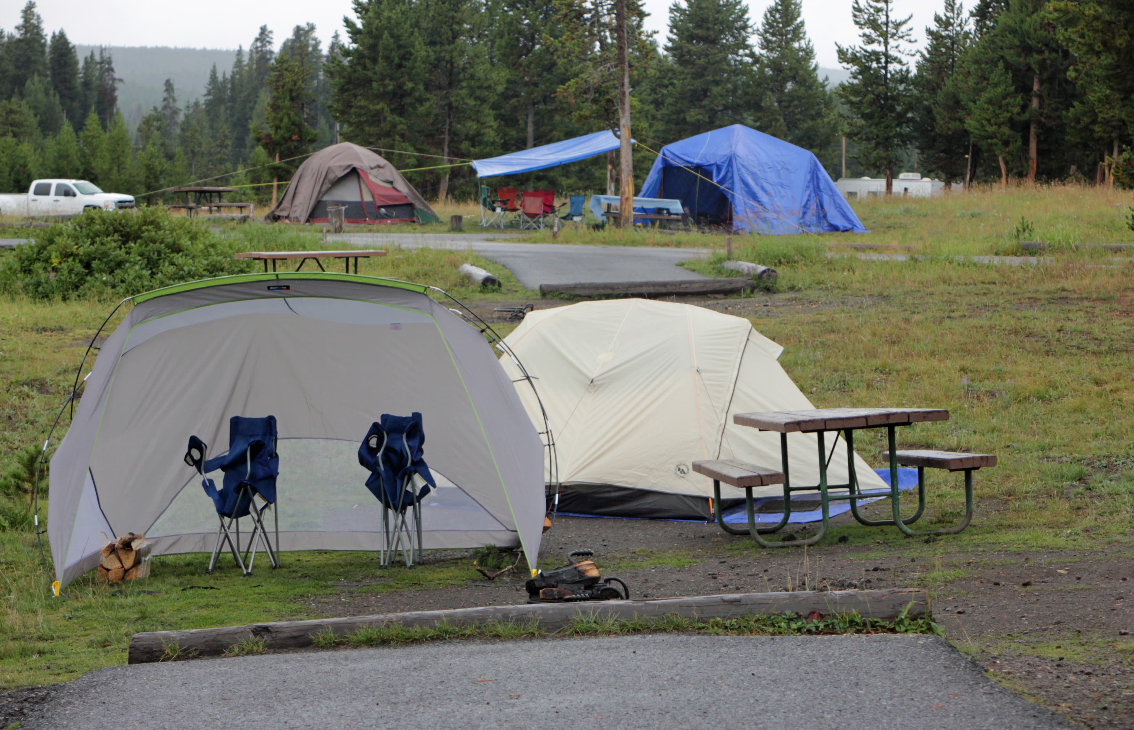 The campground location encompasses woods and meadows and some sites look out on Yellowstone Lake.