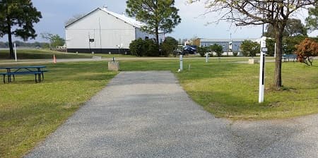 Afternoon picture of the campsite