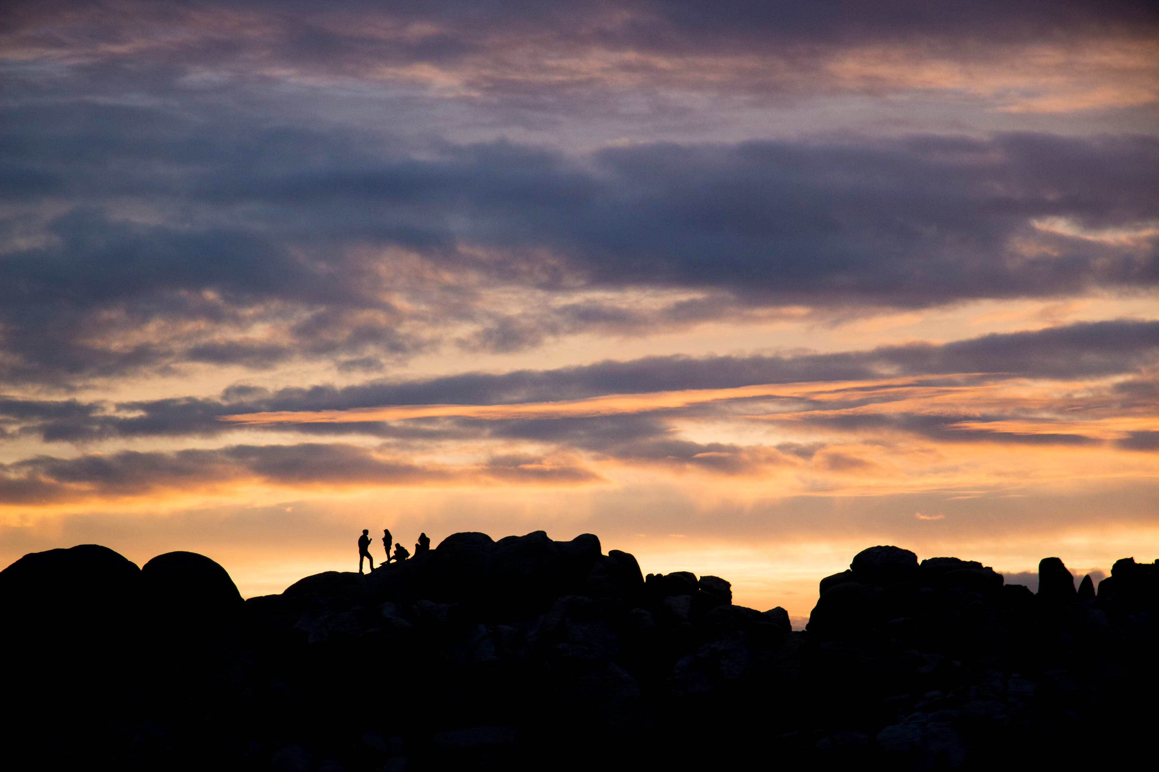 Jumbo Rocks Campground is a fun place to explore the park's bouldered landscape.