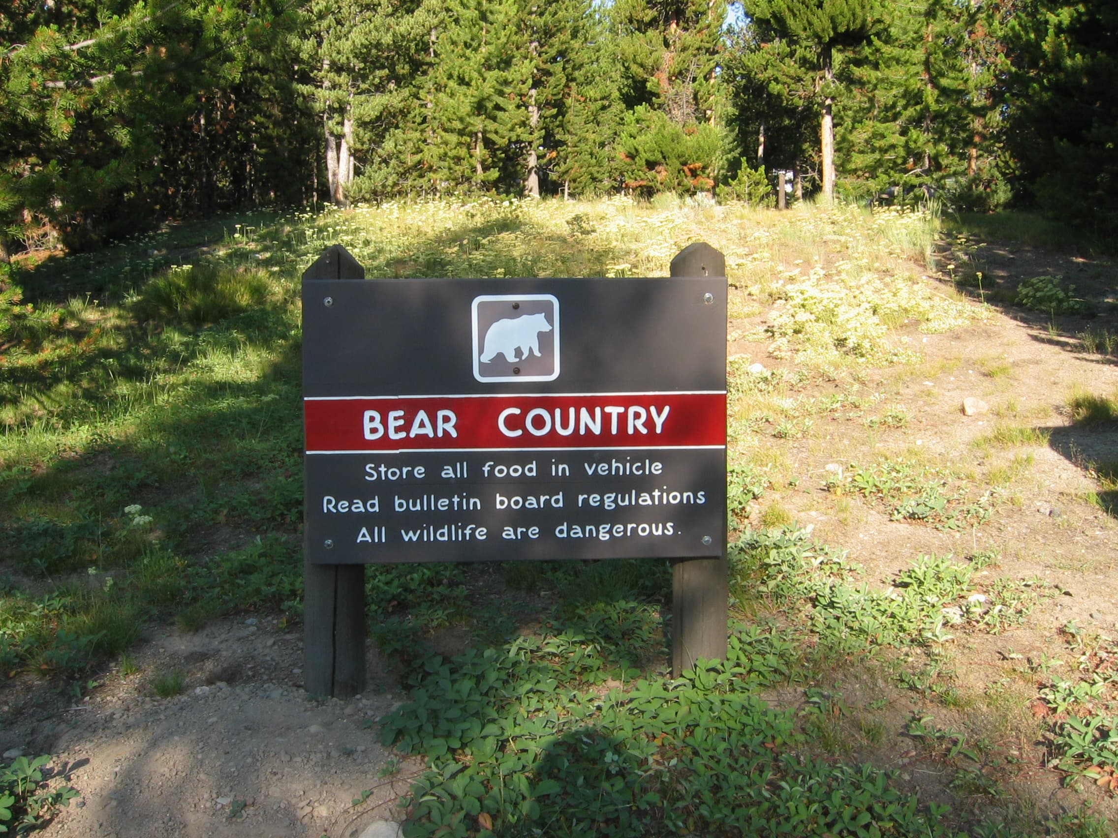 All campgrounds in Yellowstone including Indian Creek Campground is in bear country.