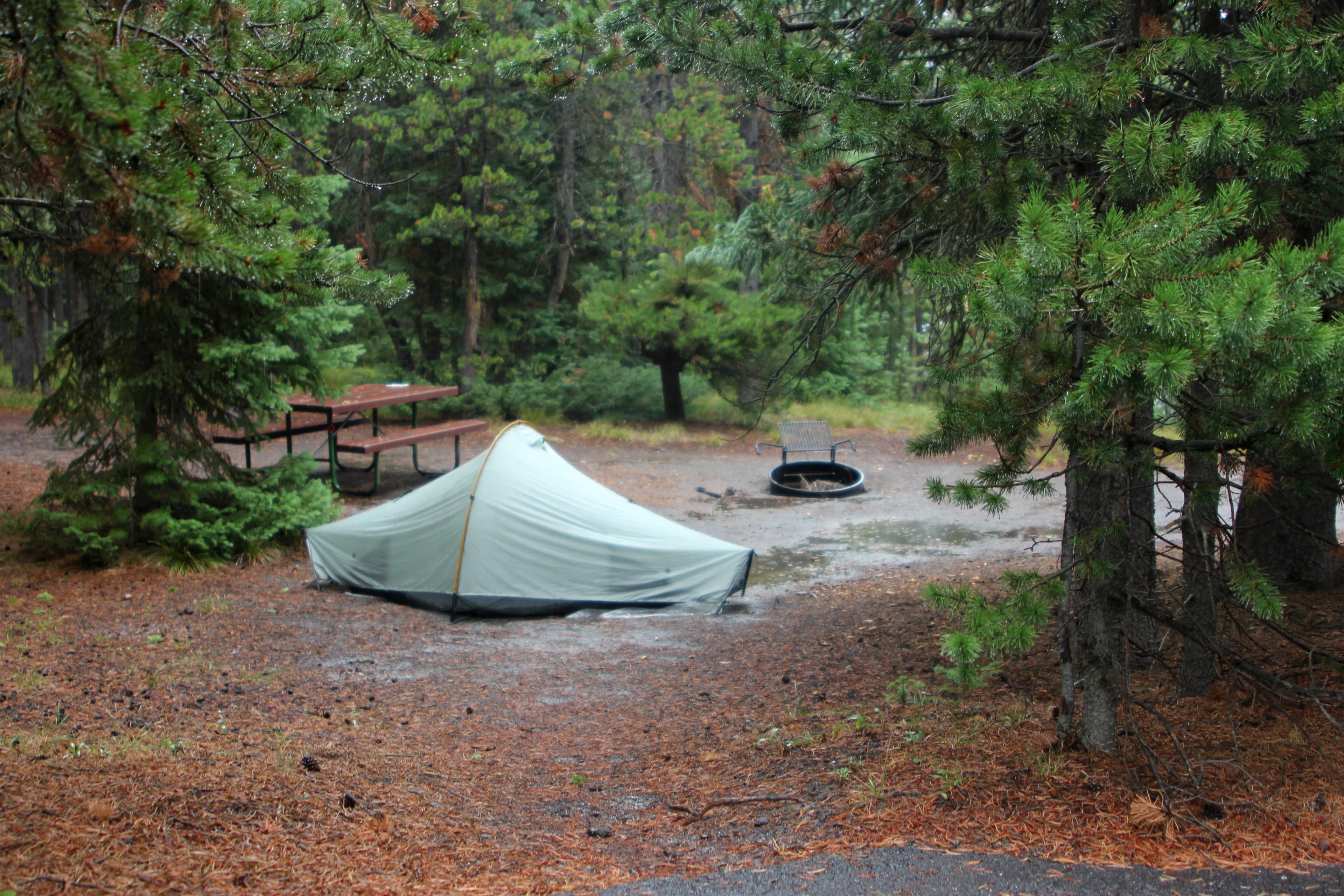 Grant Village Campground