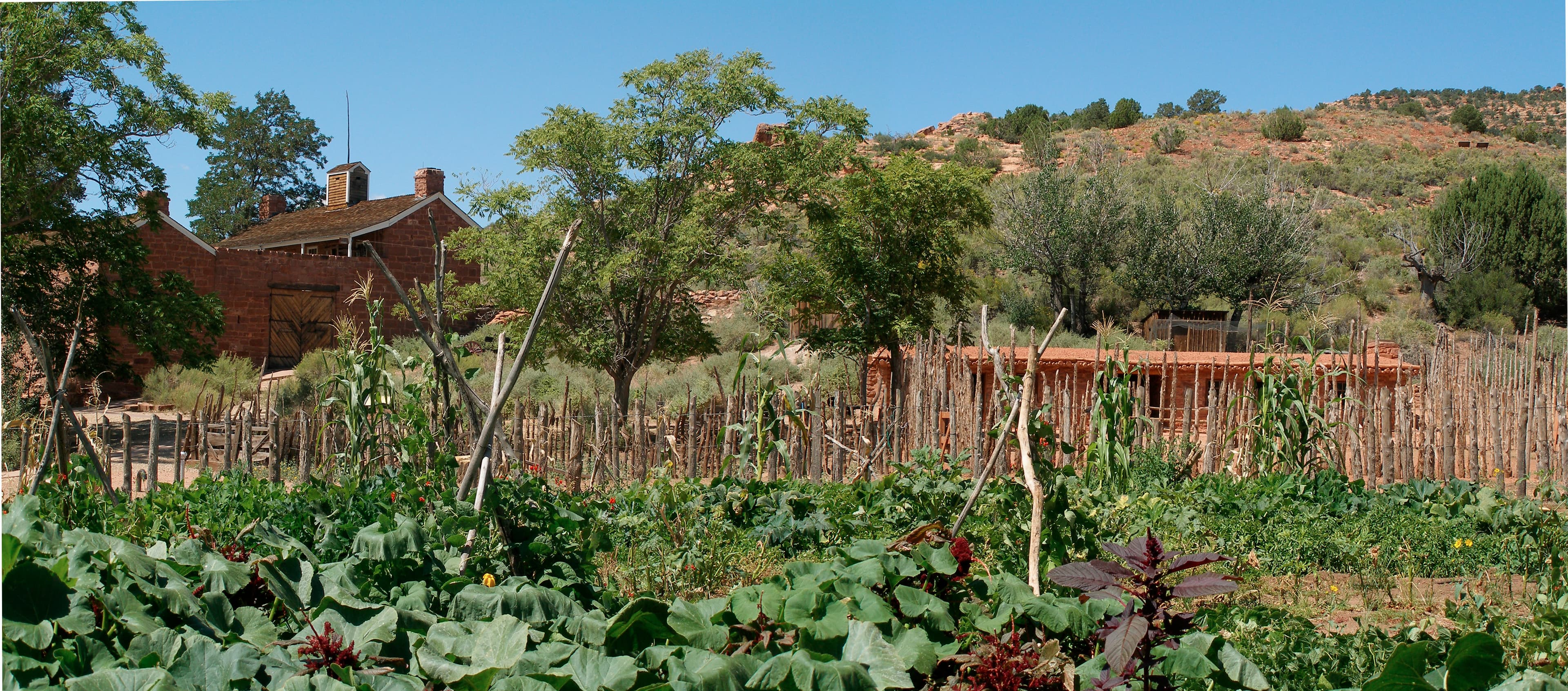 Pipe Spring maintains a living history garden that grows settler and native crops as they would have grown in the 1870s. In the fall, visitors may harvest free fruit and veggies.