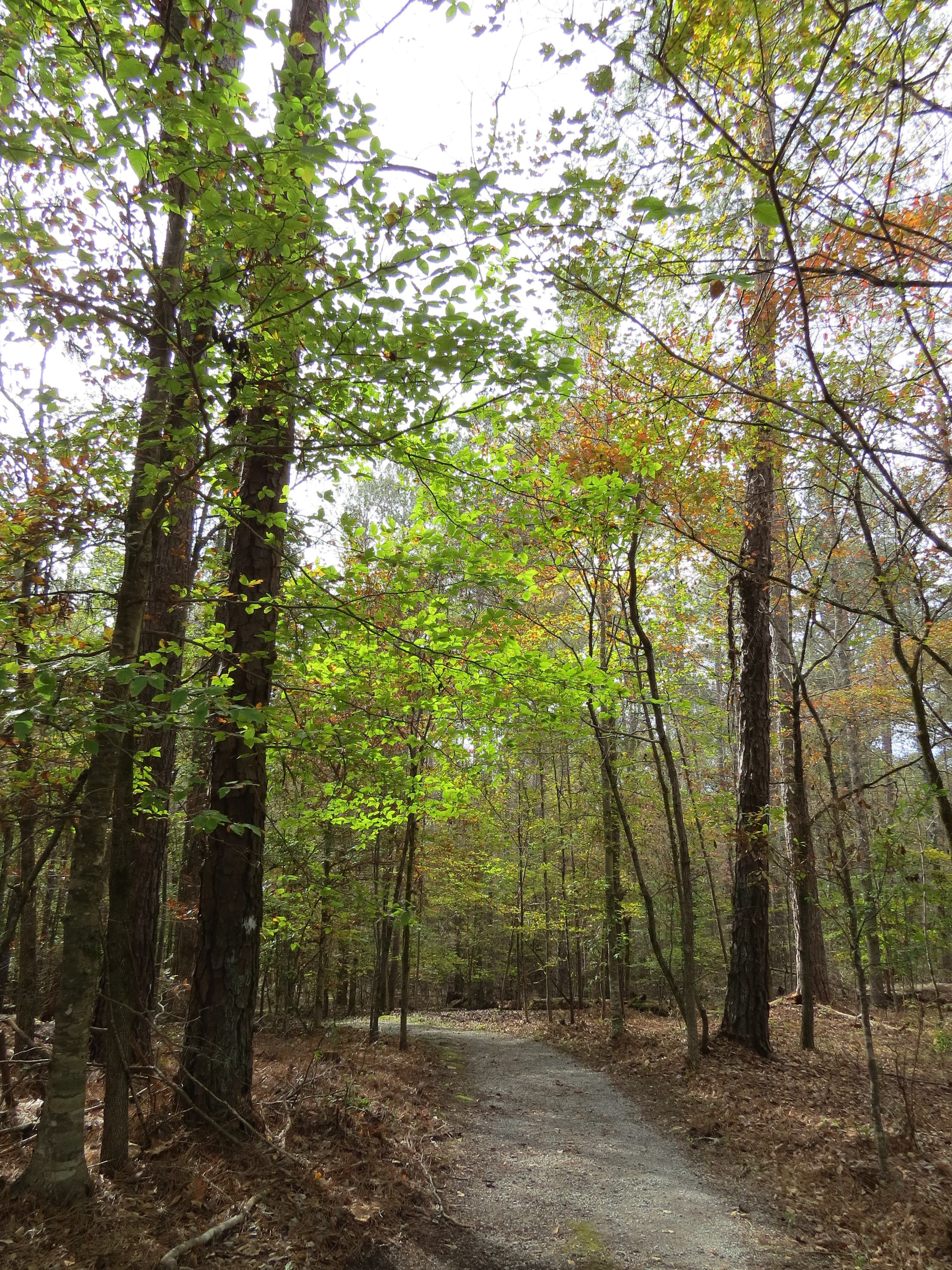 Visitors can find solitude, seasonal beauty, and abundant wildlife along the 2.8 mile trail through the park.