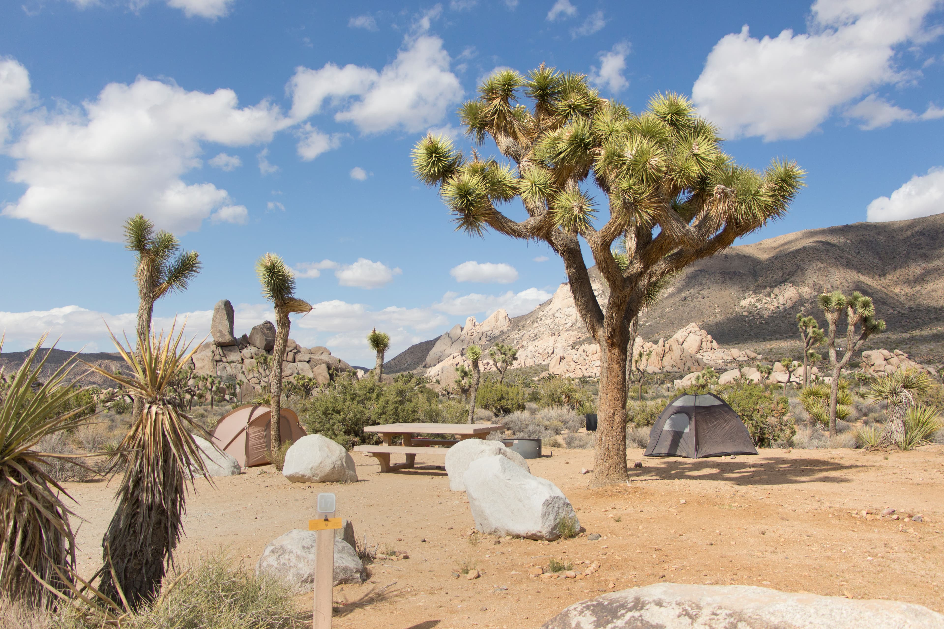 There are 31 campsites at this centrally located campground. Mt. Ryan and Cap Rock are close by attractions.