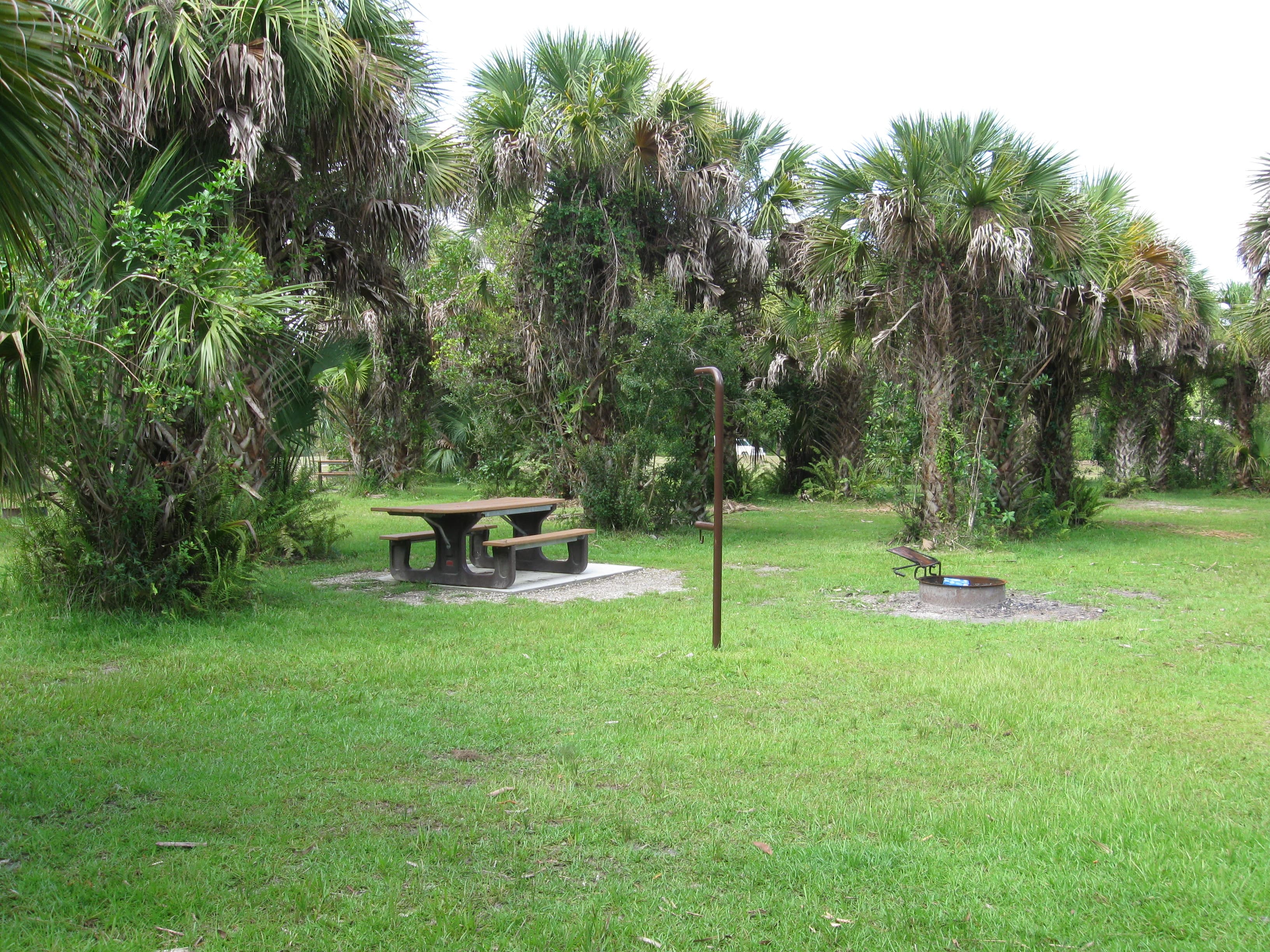 one of the campsites in the Bear Island Campground