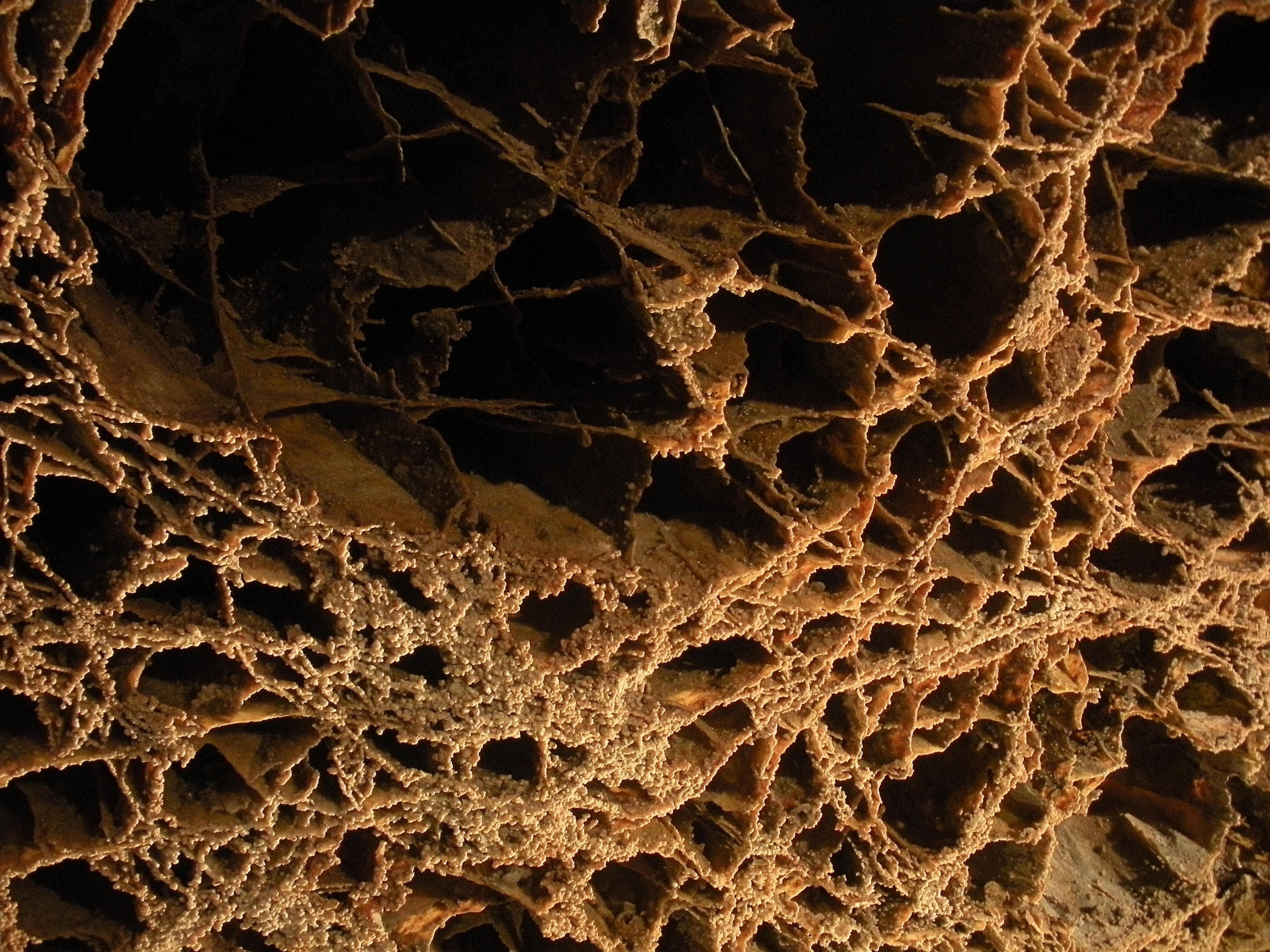 The boxwork on the ceiling of the Elk's Room is a popular photography subject and has been featured on many postcards and other souvenirs.