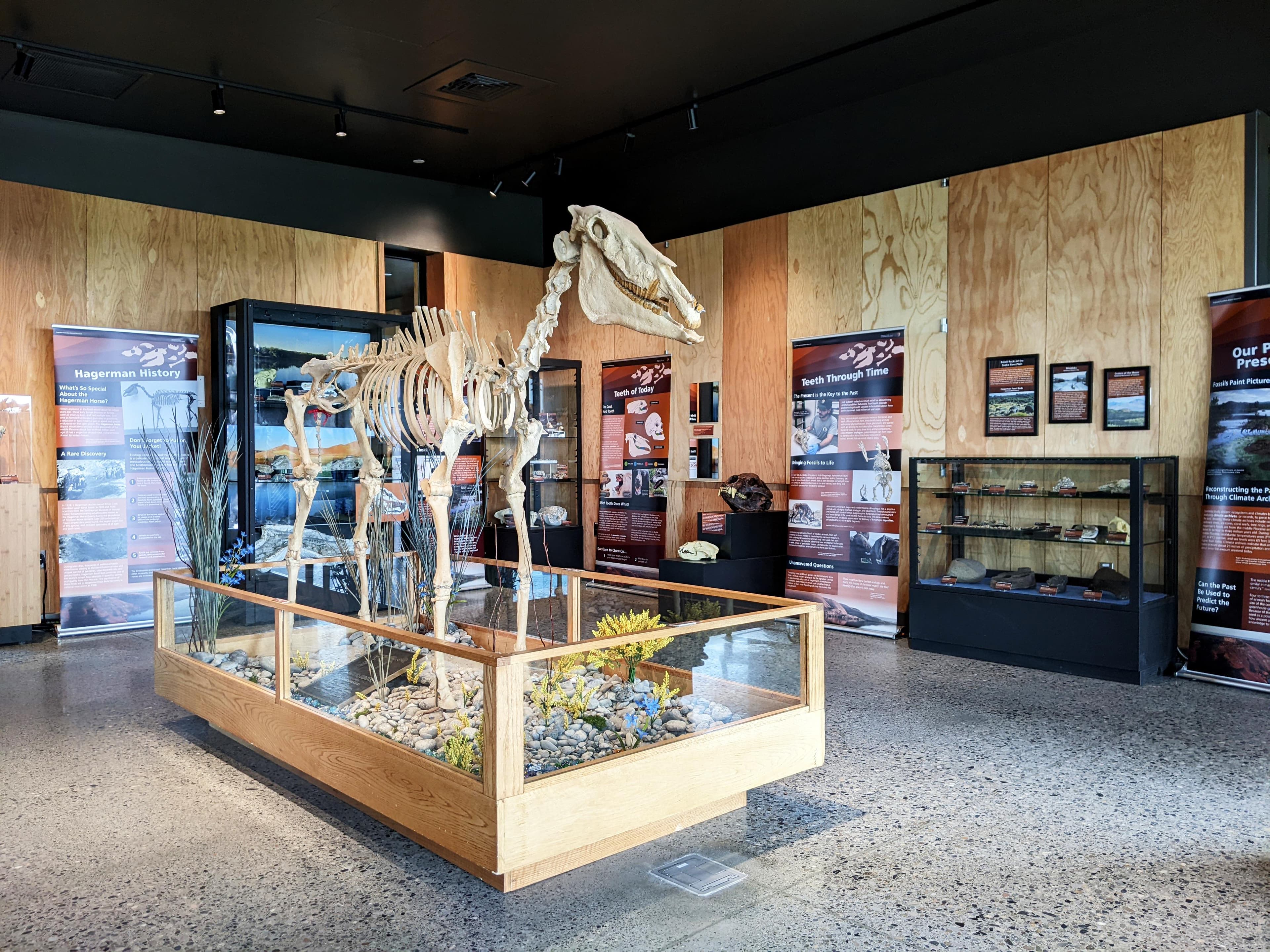 The Thousand Springs Visitor Center is the only place at the monument to see fossils.