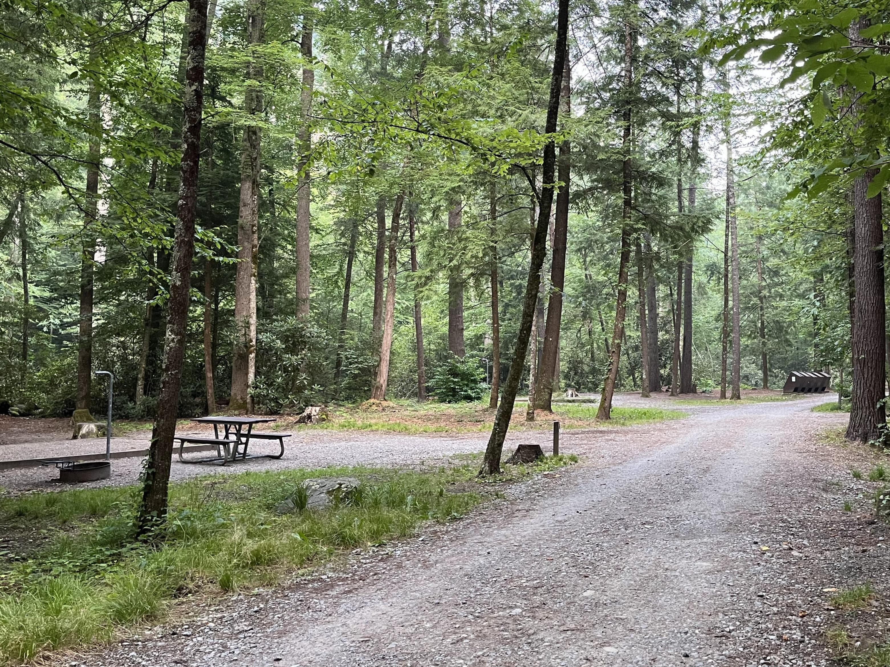 Each site includes a gravel tent pad, fire ring, and picnic table. Trash receptacles are available throughout the campground.