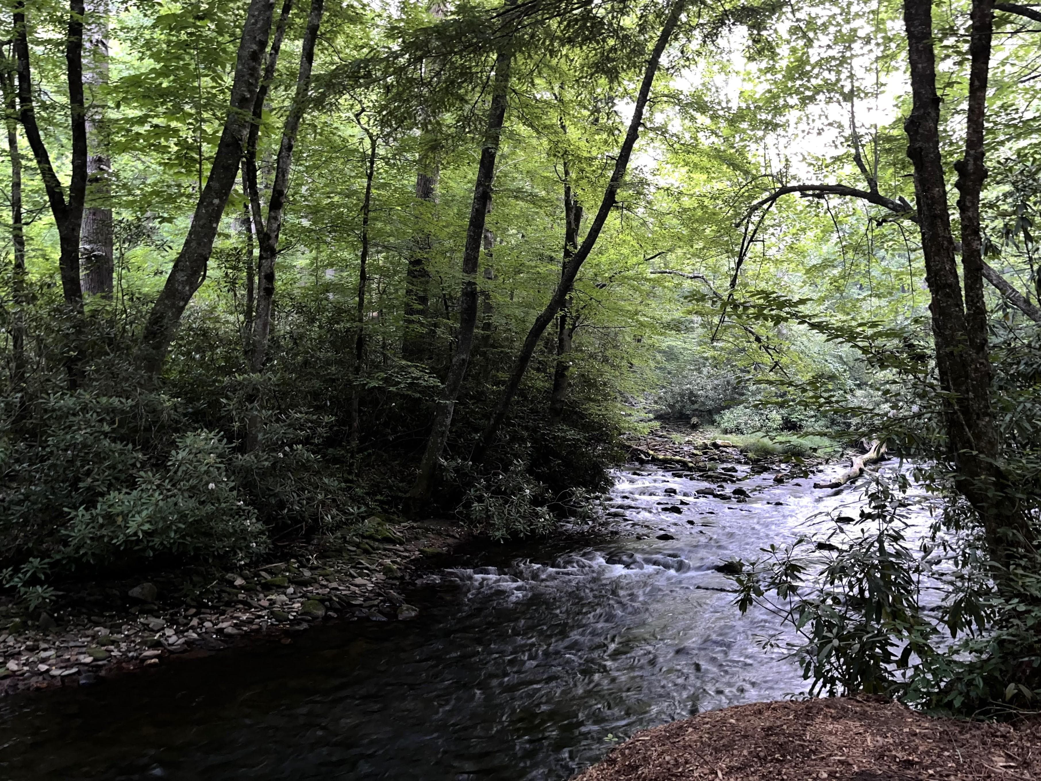 A streamside view near Cataloochee Campground.