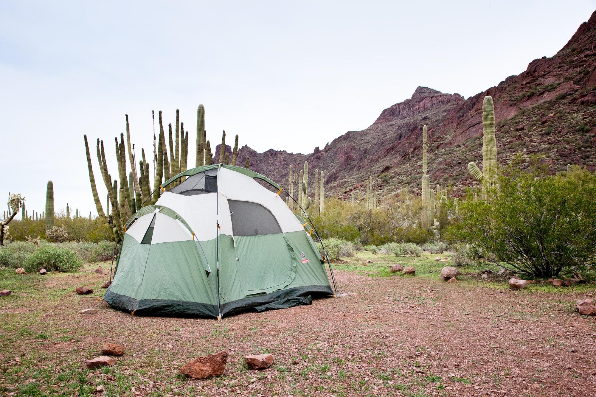 Tent campers flock to the primitive experience at Alamo Canyon