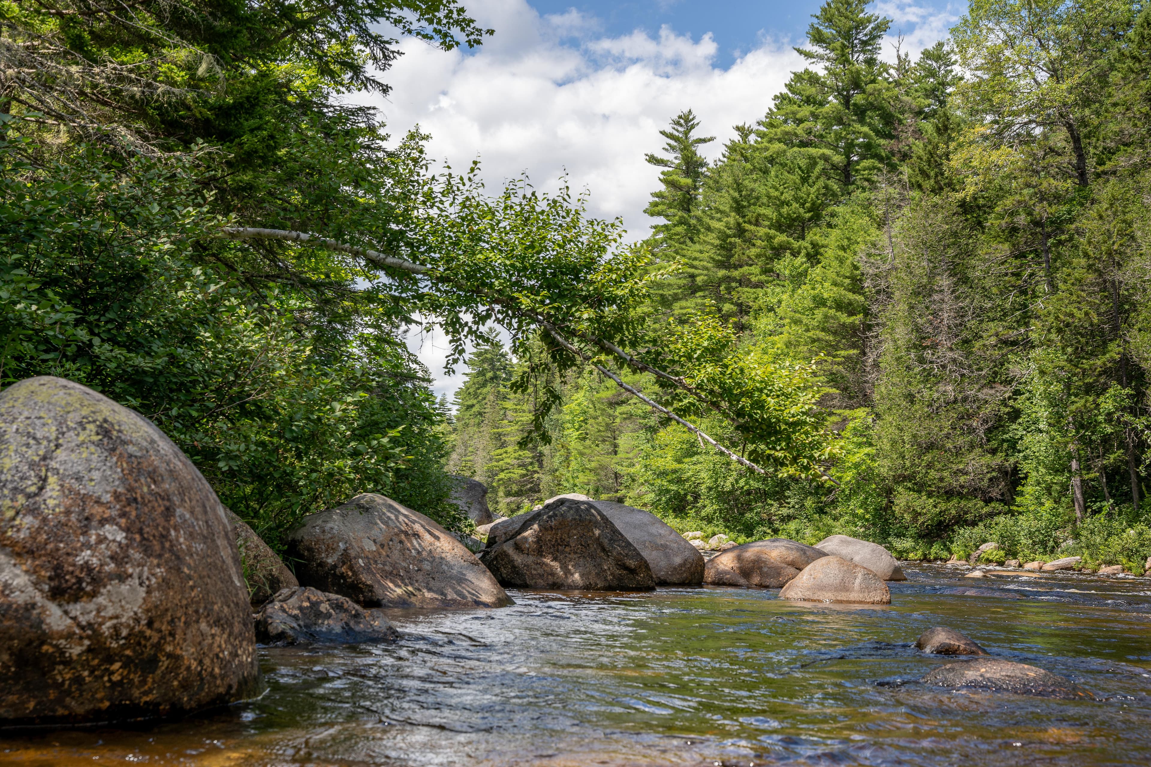 Esker Campsite boasts unparalleled views of the Wassataquoik Stream