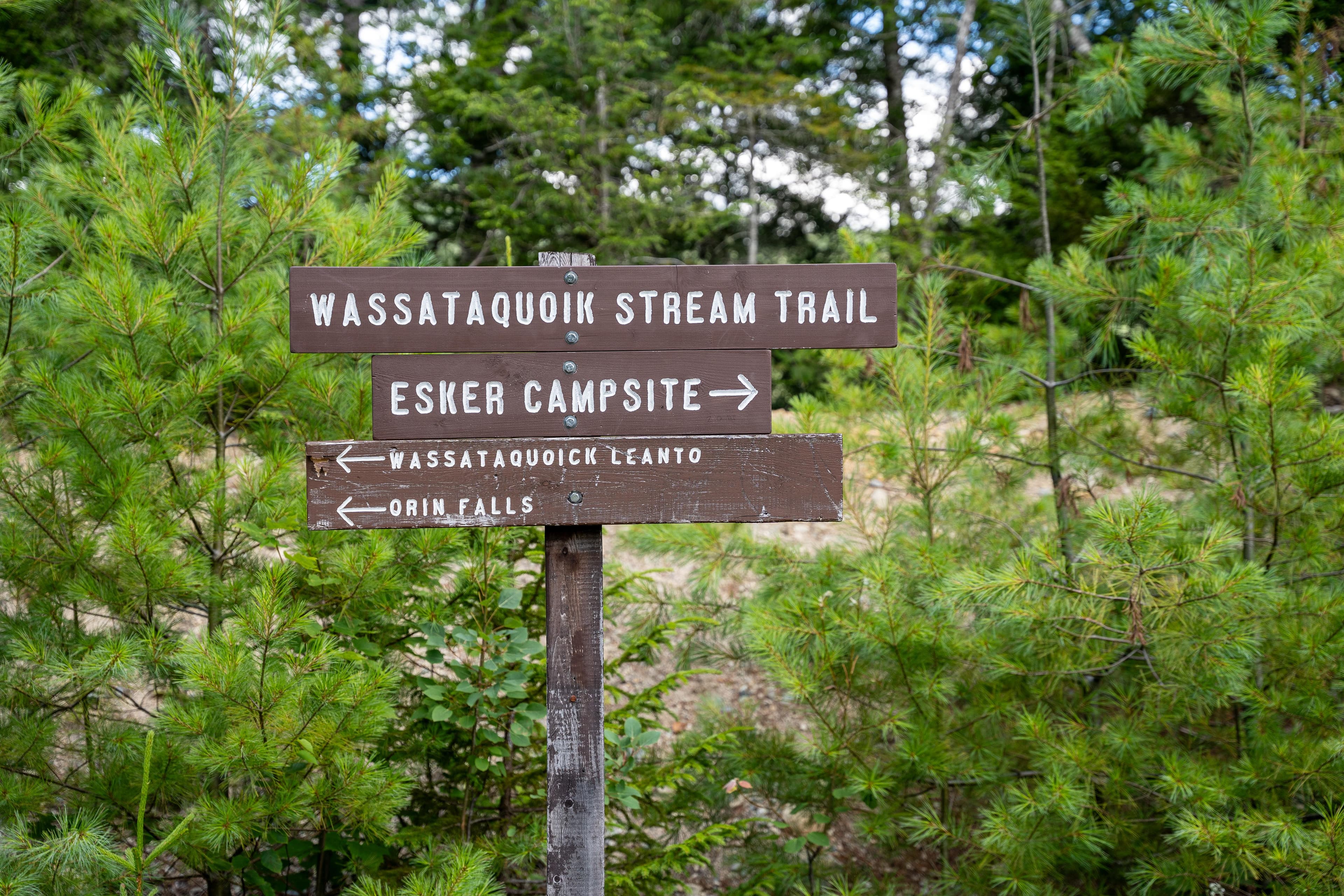 Follow the signs from Wassataquoik Gate to reach Esker Campsite