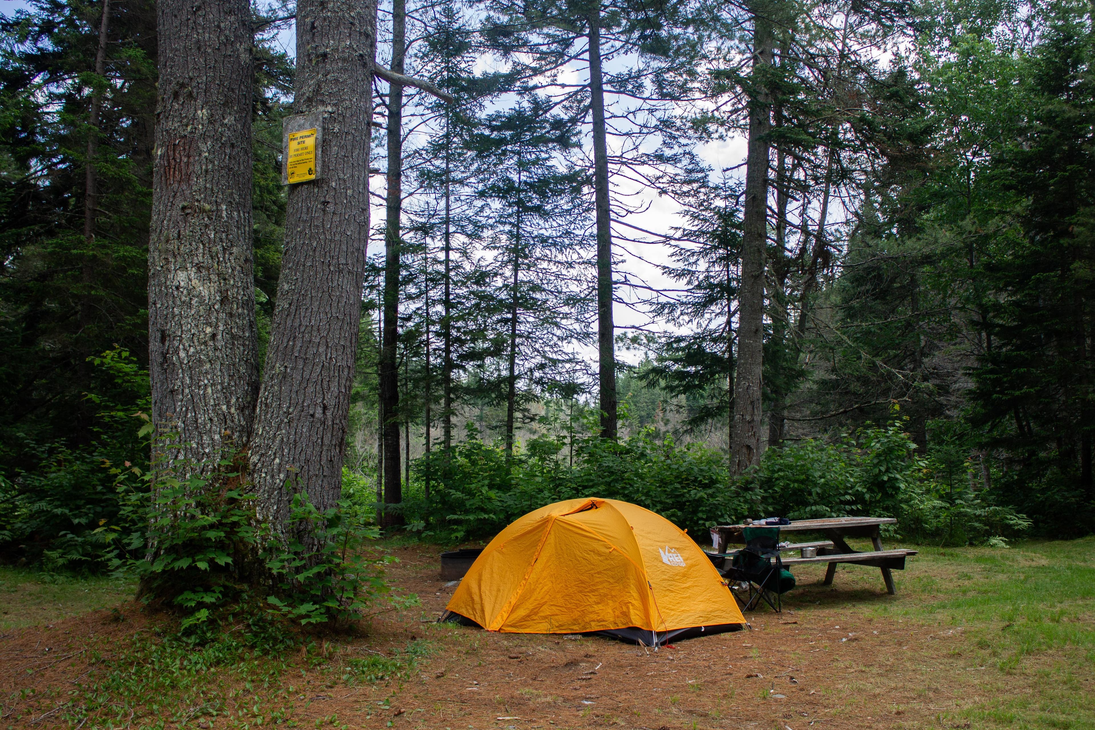 Wassataquik Campsite is nearby a stream and along the trail to Orin Falls