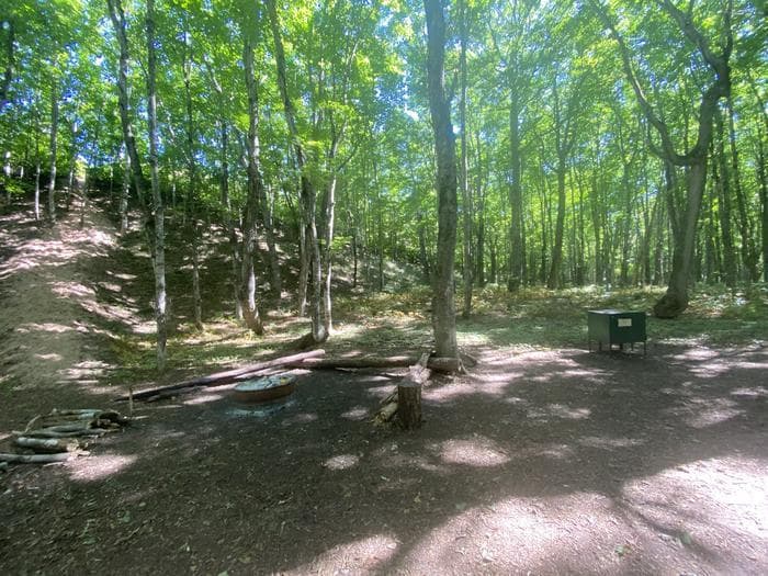Campsite contains a fire ring and bear box.