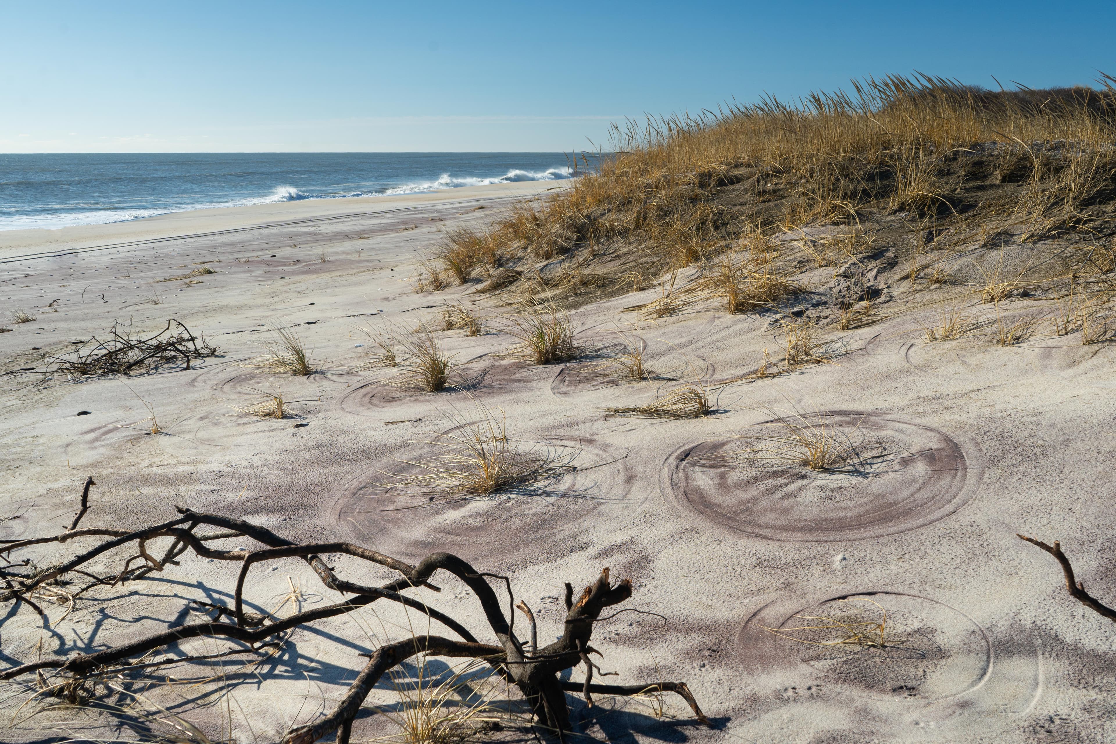 A view of the ocean and beach in the Otis Pike Wilderness.