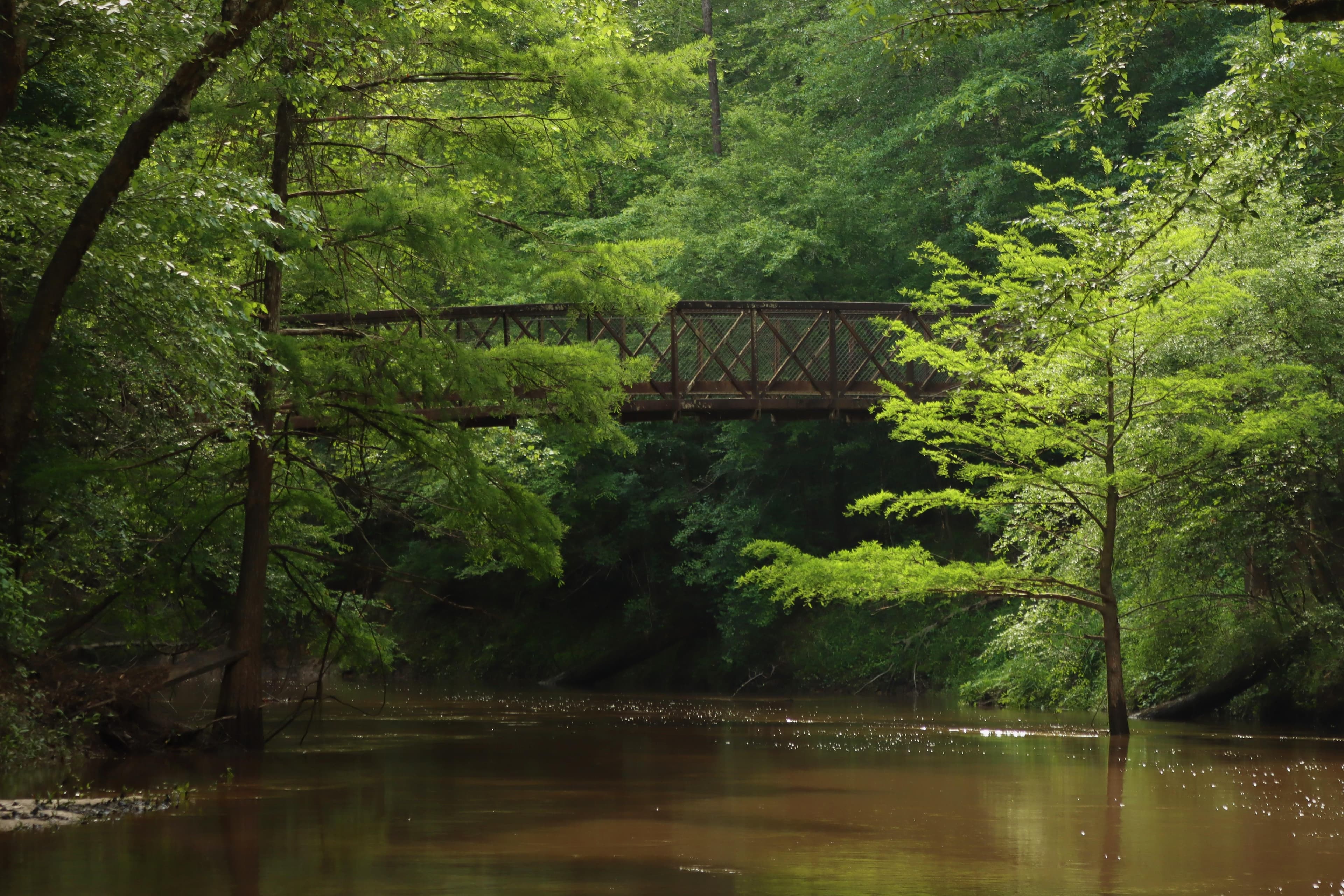 The bridge over Village Creek connects the Kirby Nature Trail to the Turkey Creek Trail.