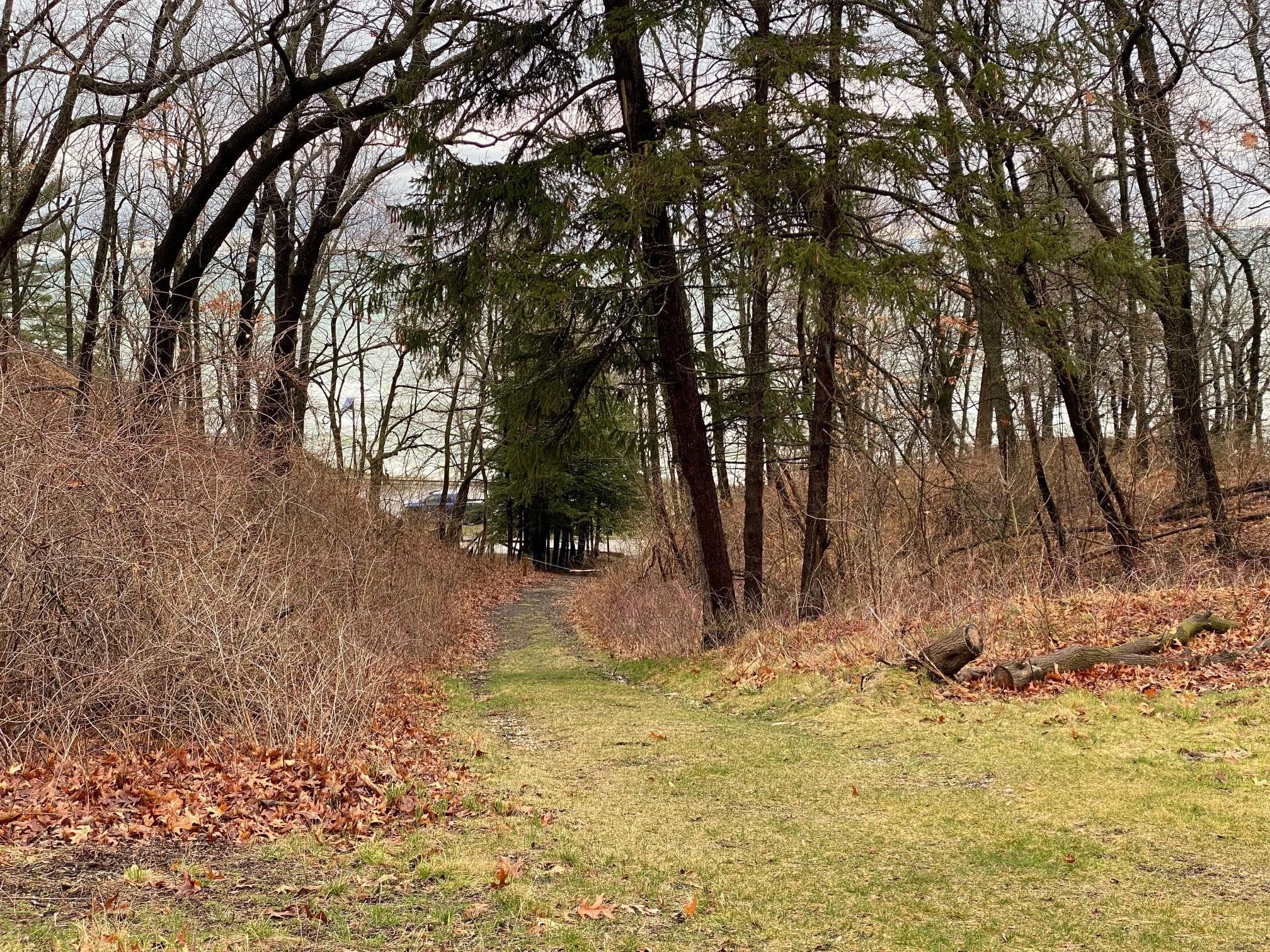 Dunbar Group Site is situated on a hill overlooking Lake Michigan
