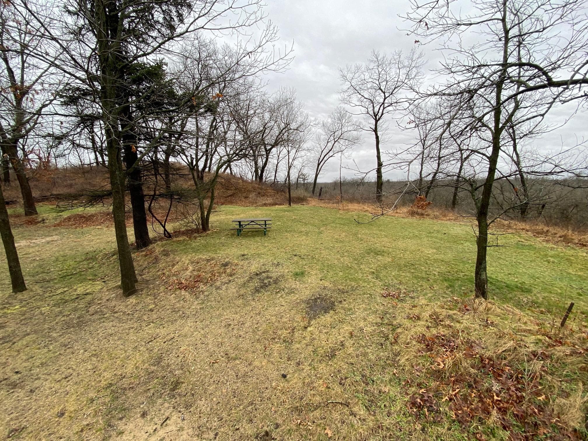 The camping area of the site has grass and minimal tree coverage