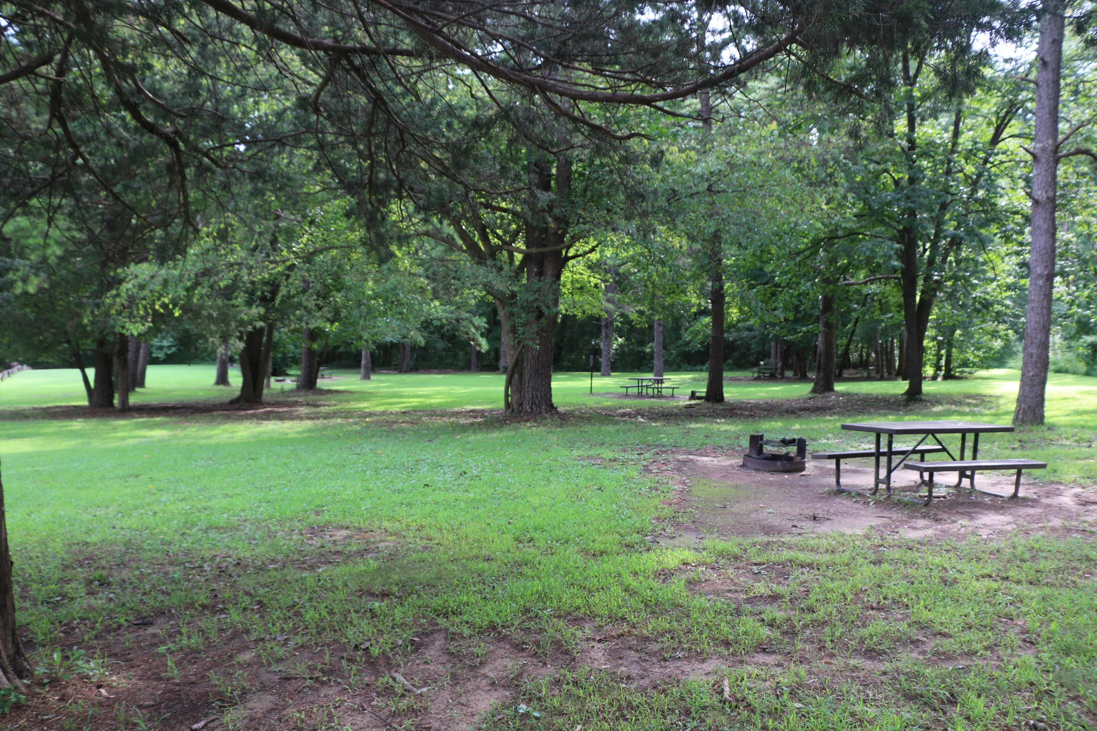 Several tent sites are available with ample shade for campers.