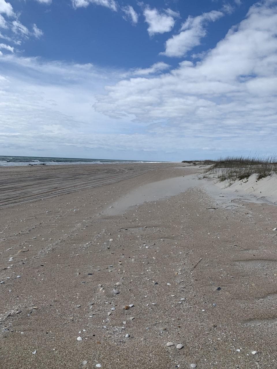 Where would you like to camp?  This wide beach allows for dispersed camping seaward of the dunes along its length.