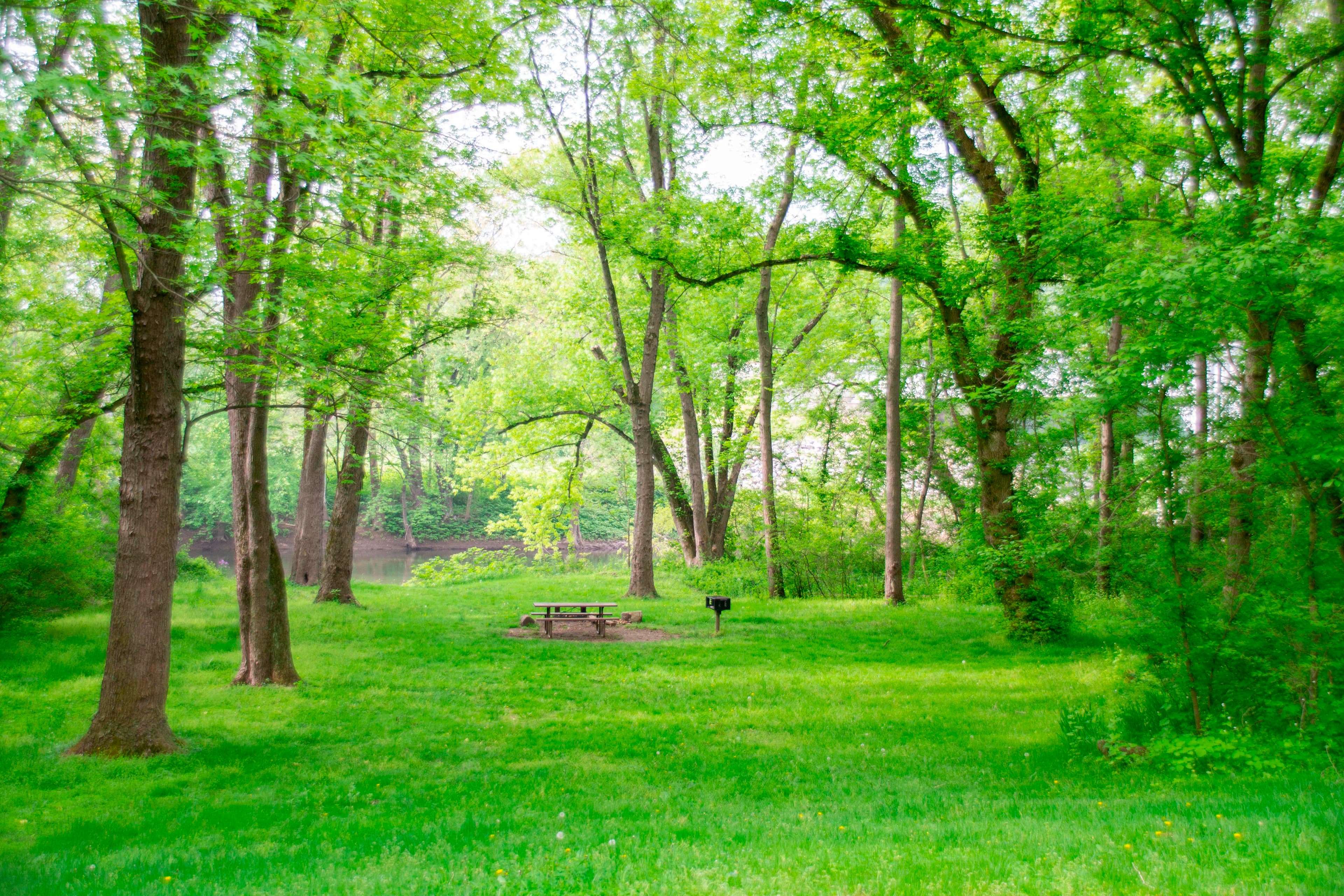 Irons Mountain Hiker-Biker Campsite