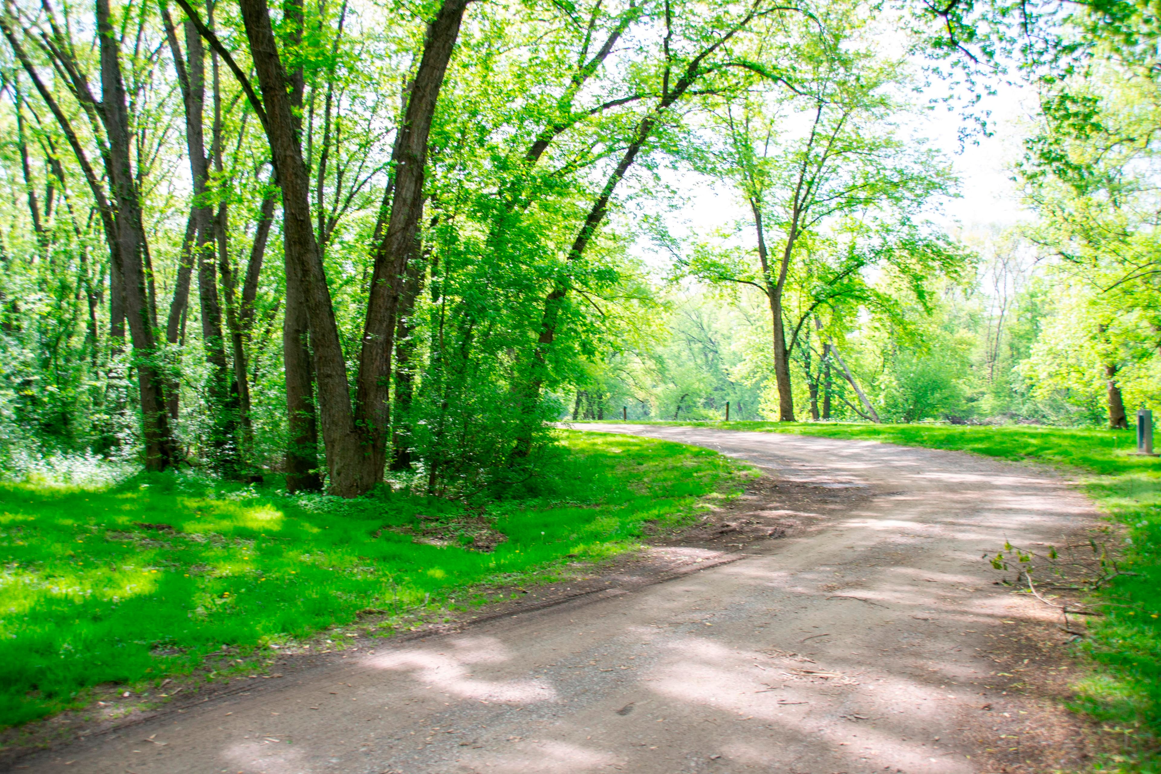 Spring Gap Campground