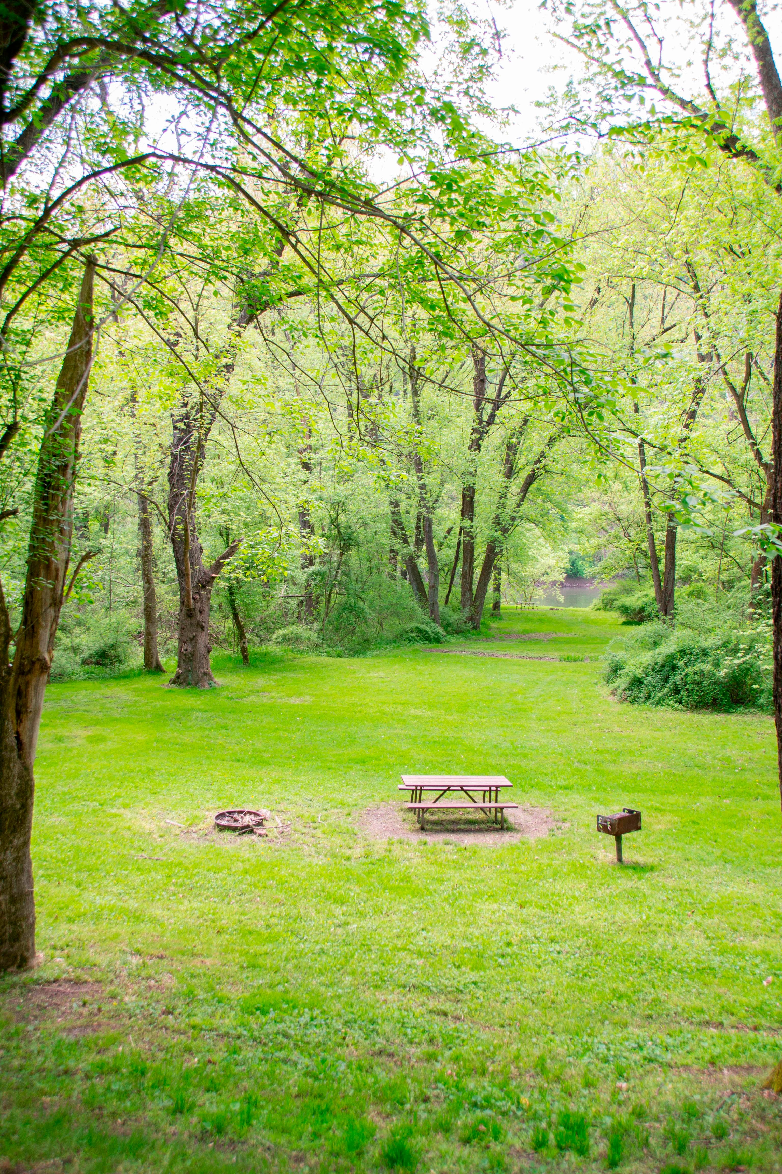 Town Creek Hiker-Biker Campsite
